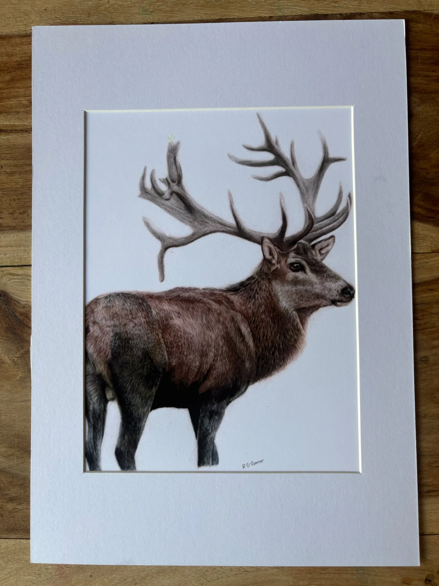 Stag print.jpg