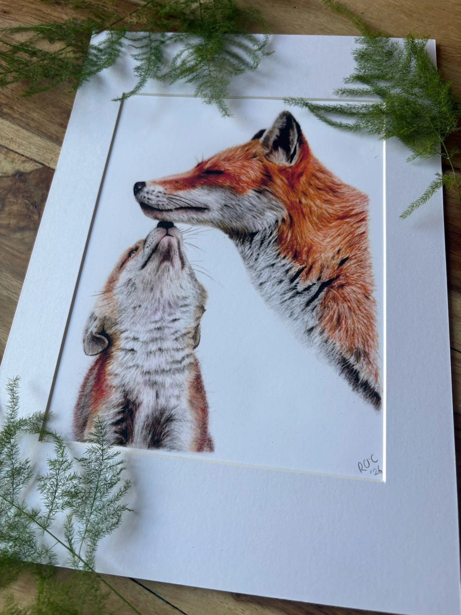 foxes ferns.jpg