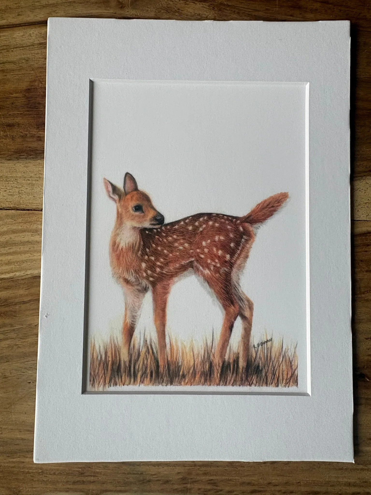 fawn print .jpg
