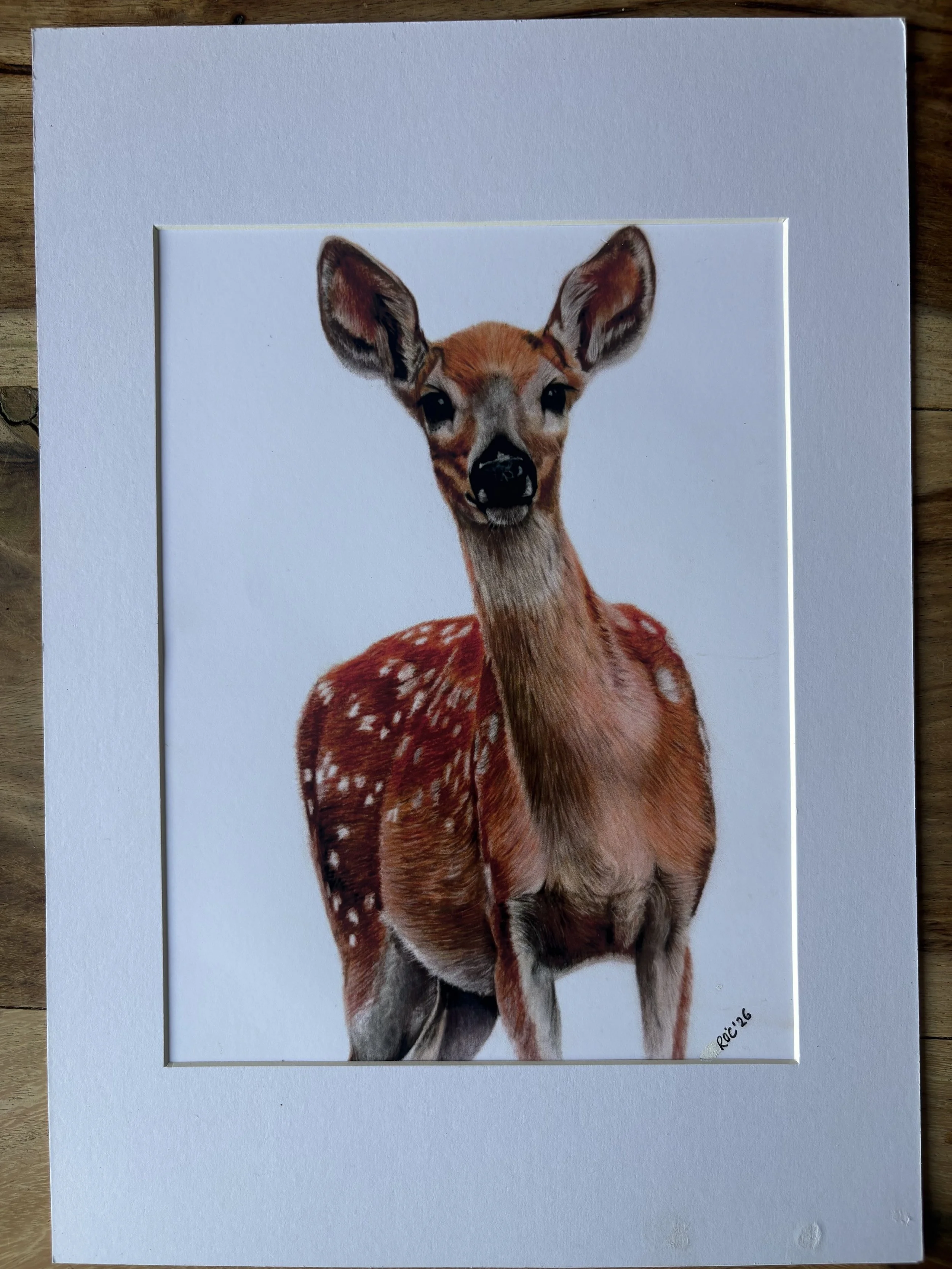 doe deer print.jpg