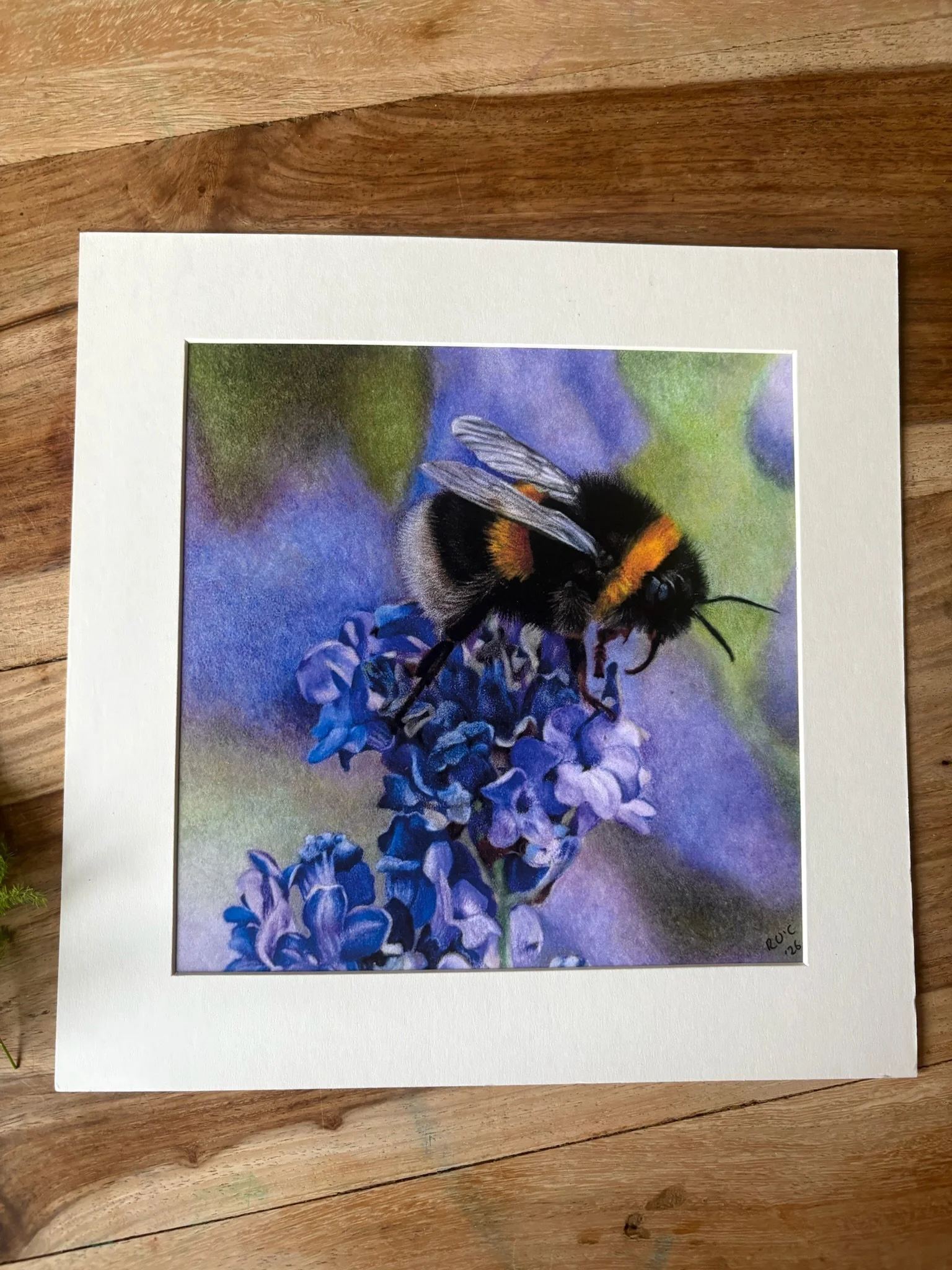 Bee print.jpg