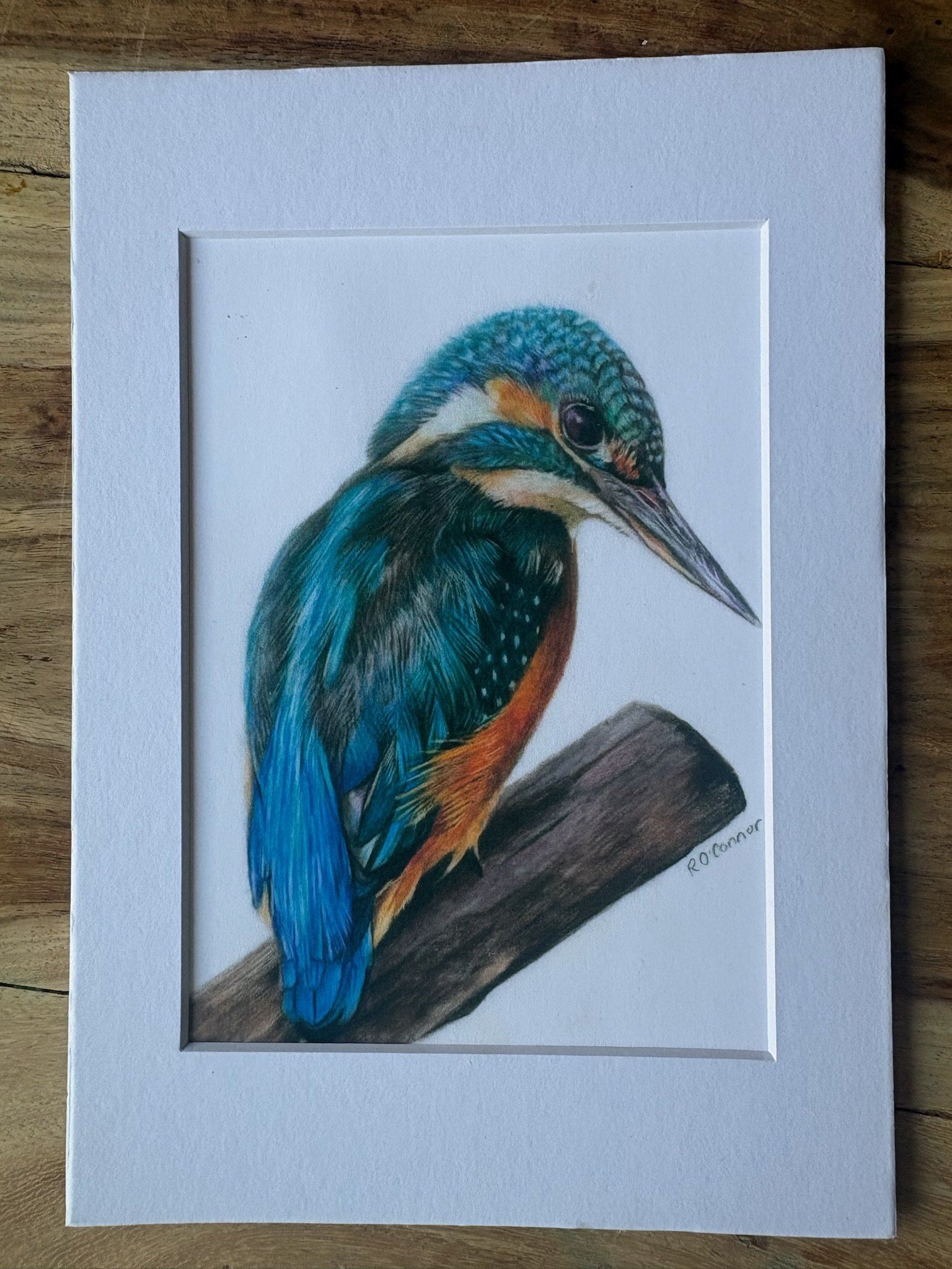 kingfisher print .jpg