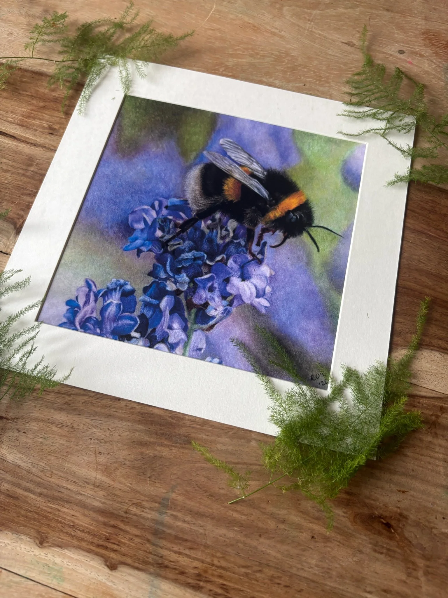 Bee ferns.jpg