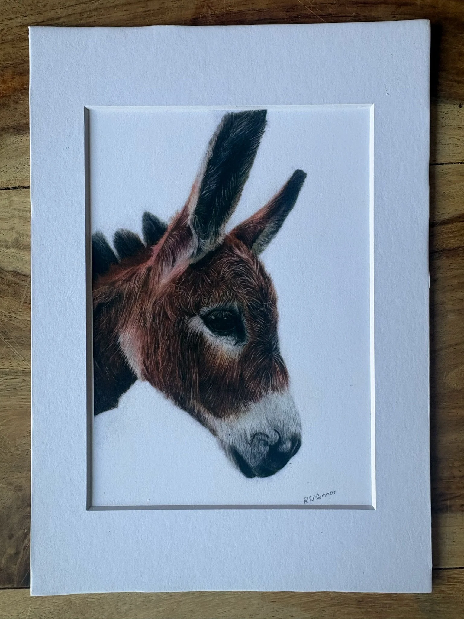 donkey print .jpg