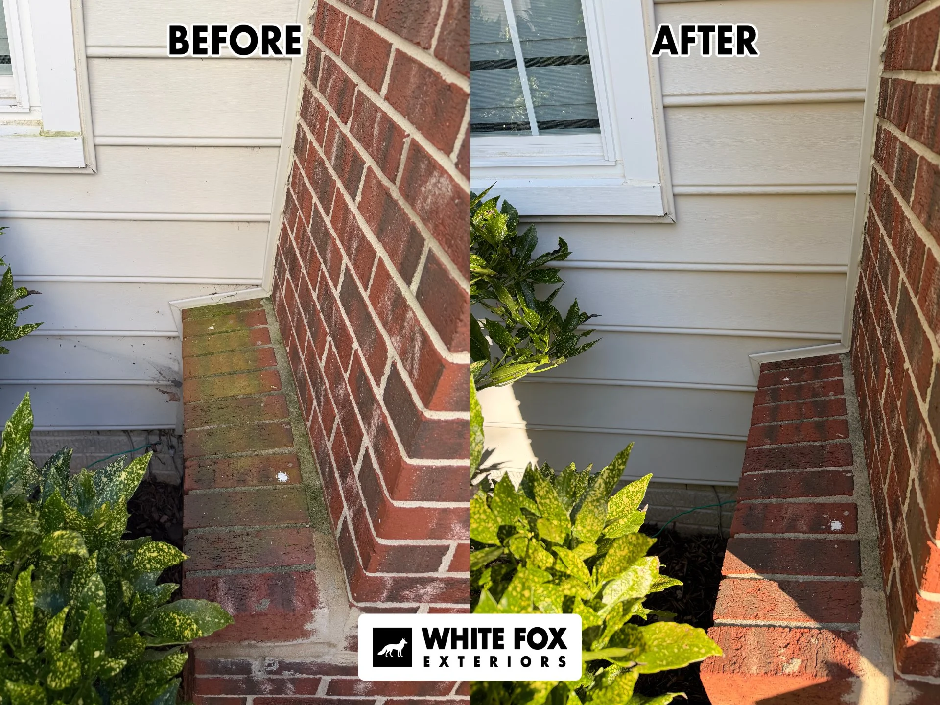 Side-by-side comparison of an exterior bricks before and after being washed by White Fox Exteriors. The before side shows moss and algae.