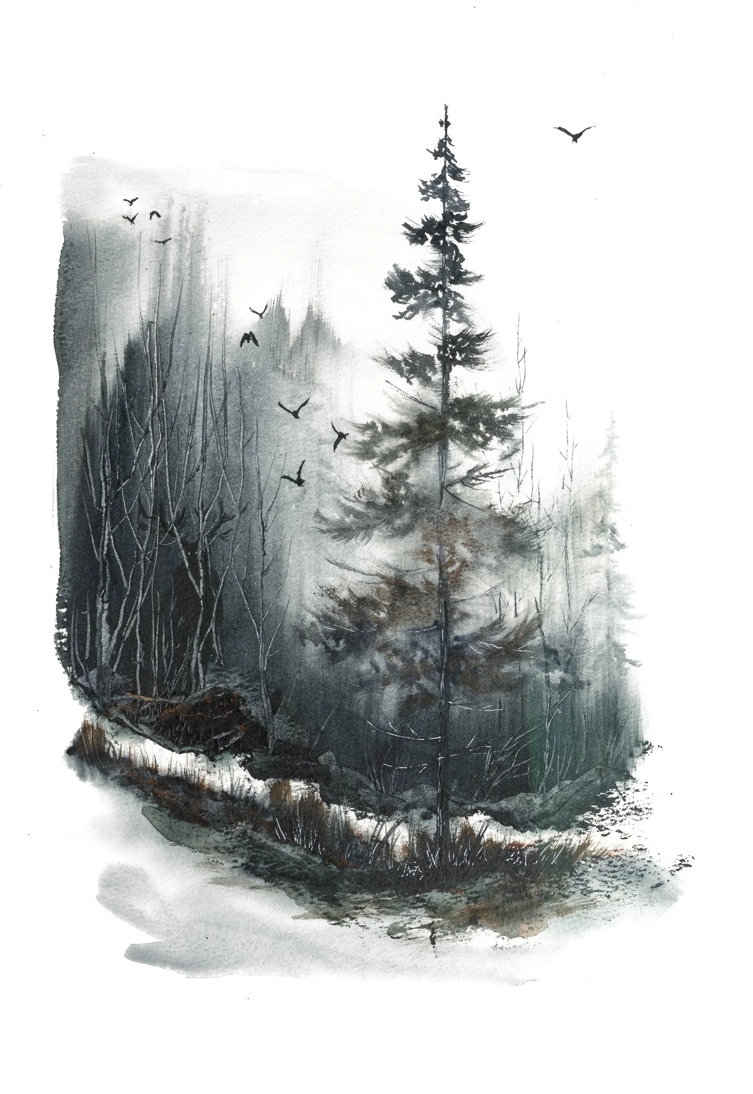 Landscapes