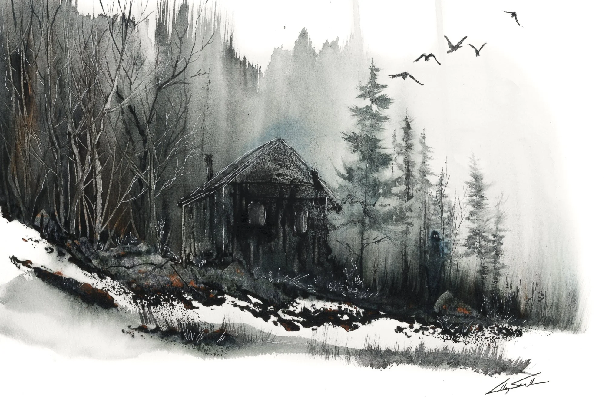 Cabin_Web.jpg
