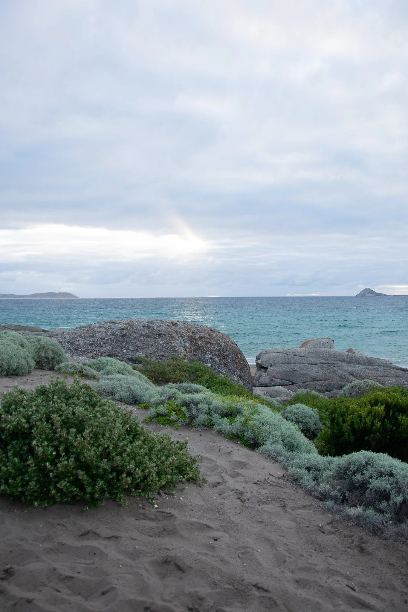DSC_1835.jpg