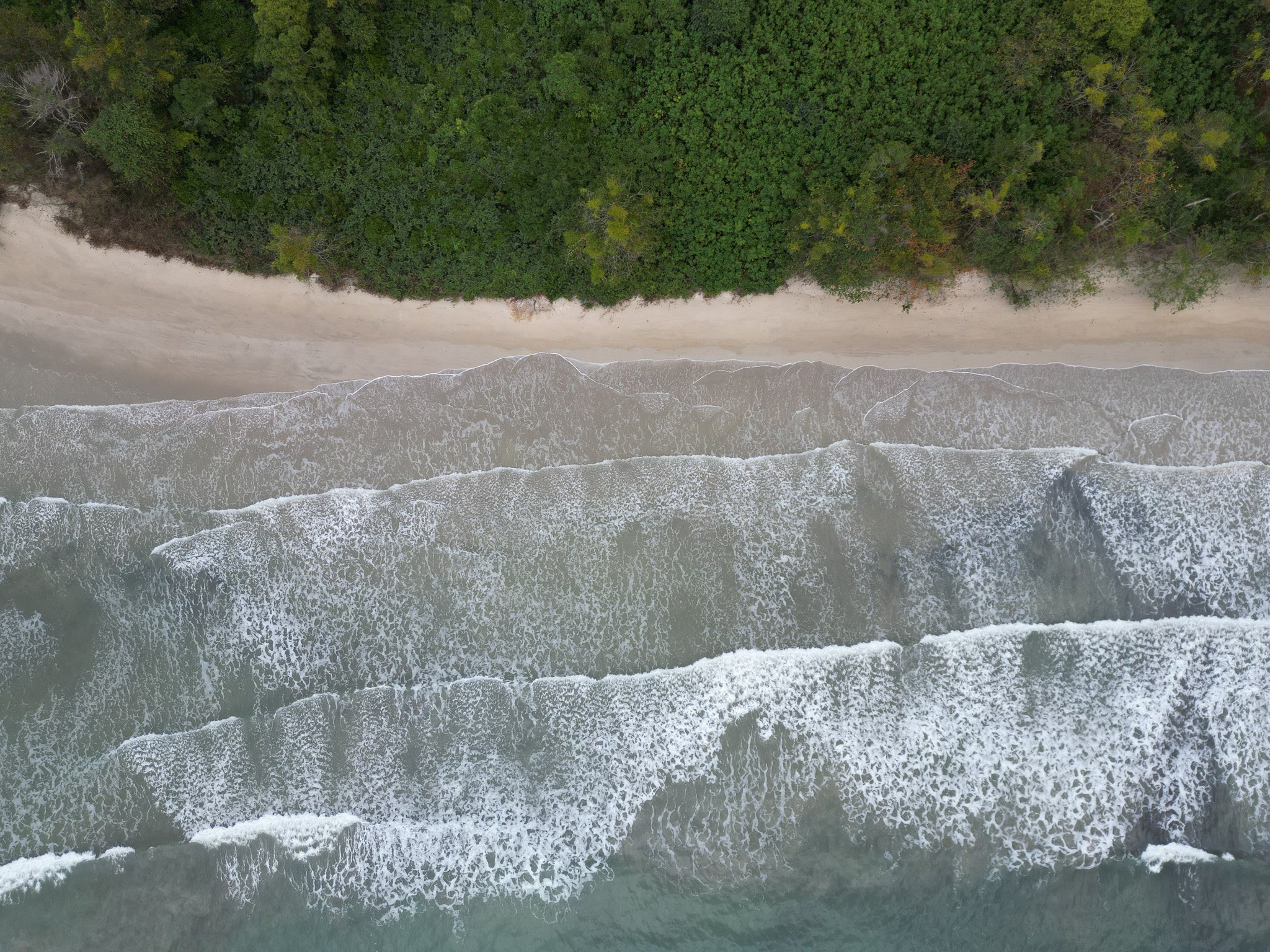 DJI_0651.jpg