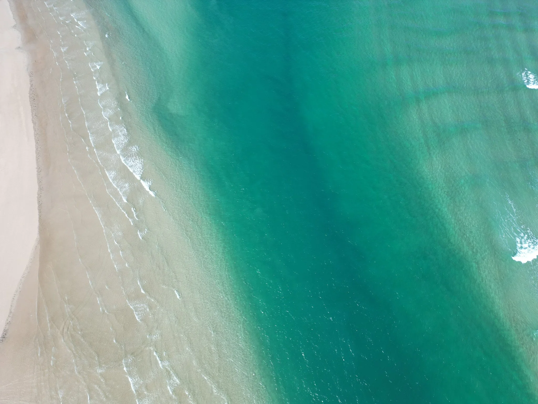 DJI_0242.jpg