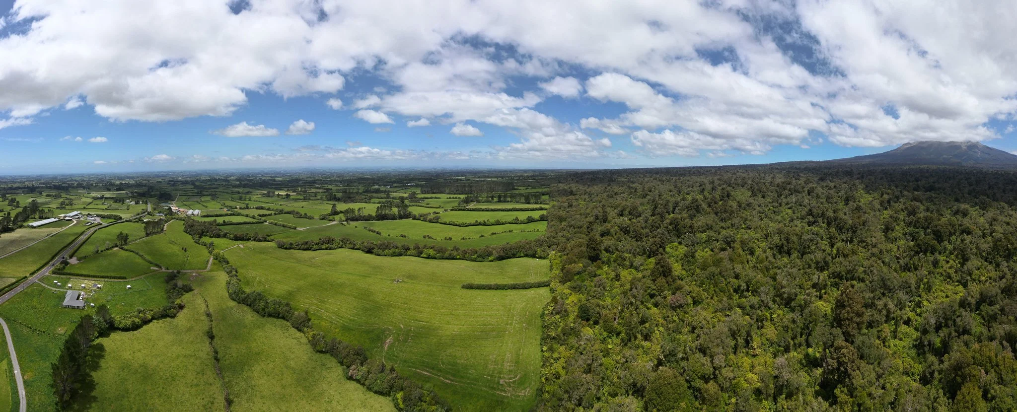 DJI_0361.jpg