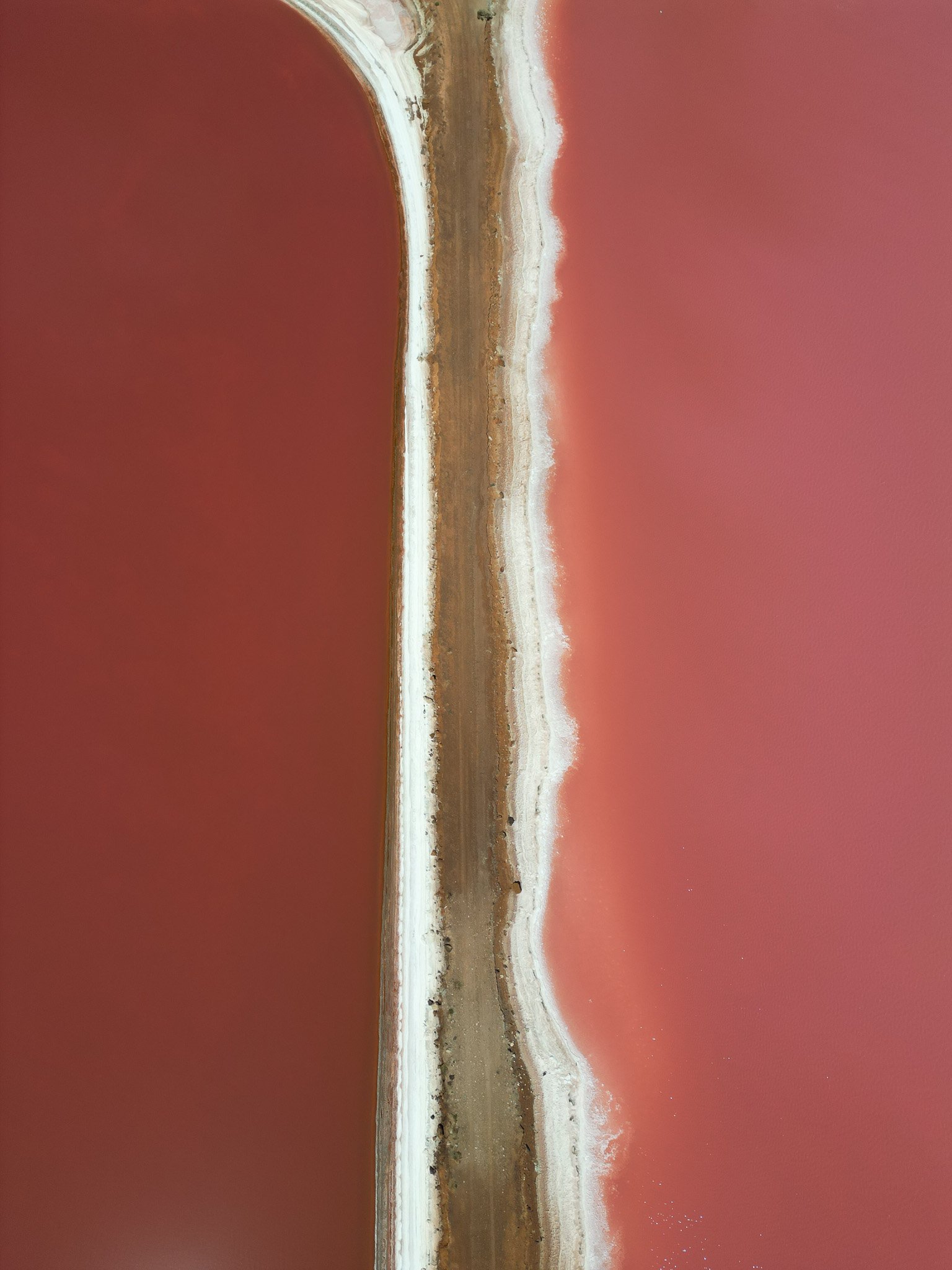 DJI_0483.jpg