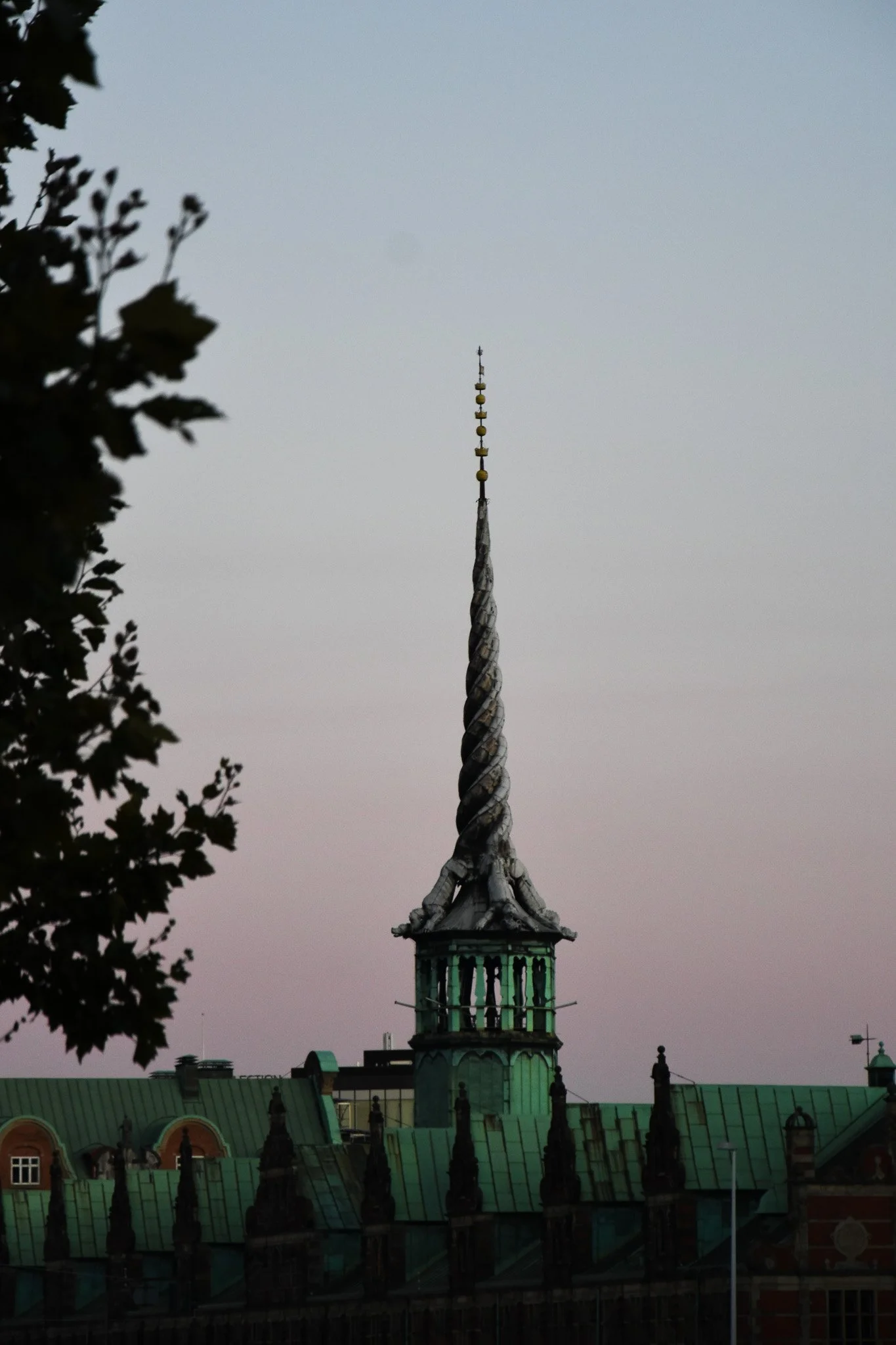 DSC_0050.jpg