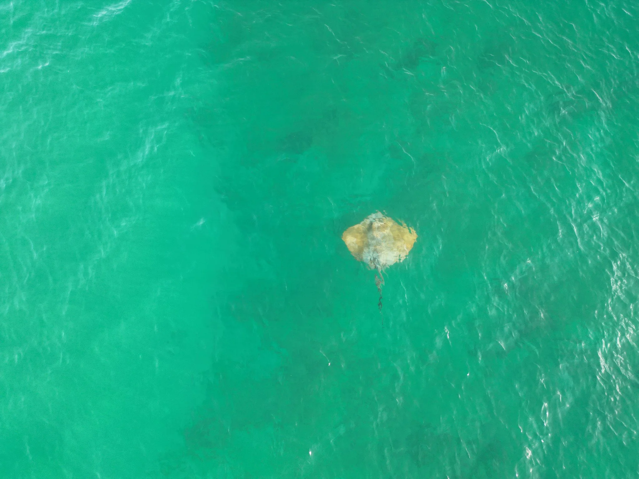 DJI_0790.jpg