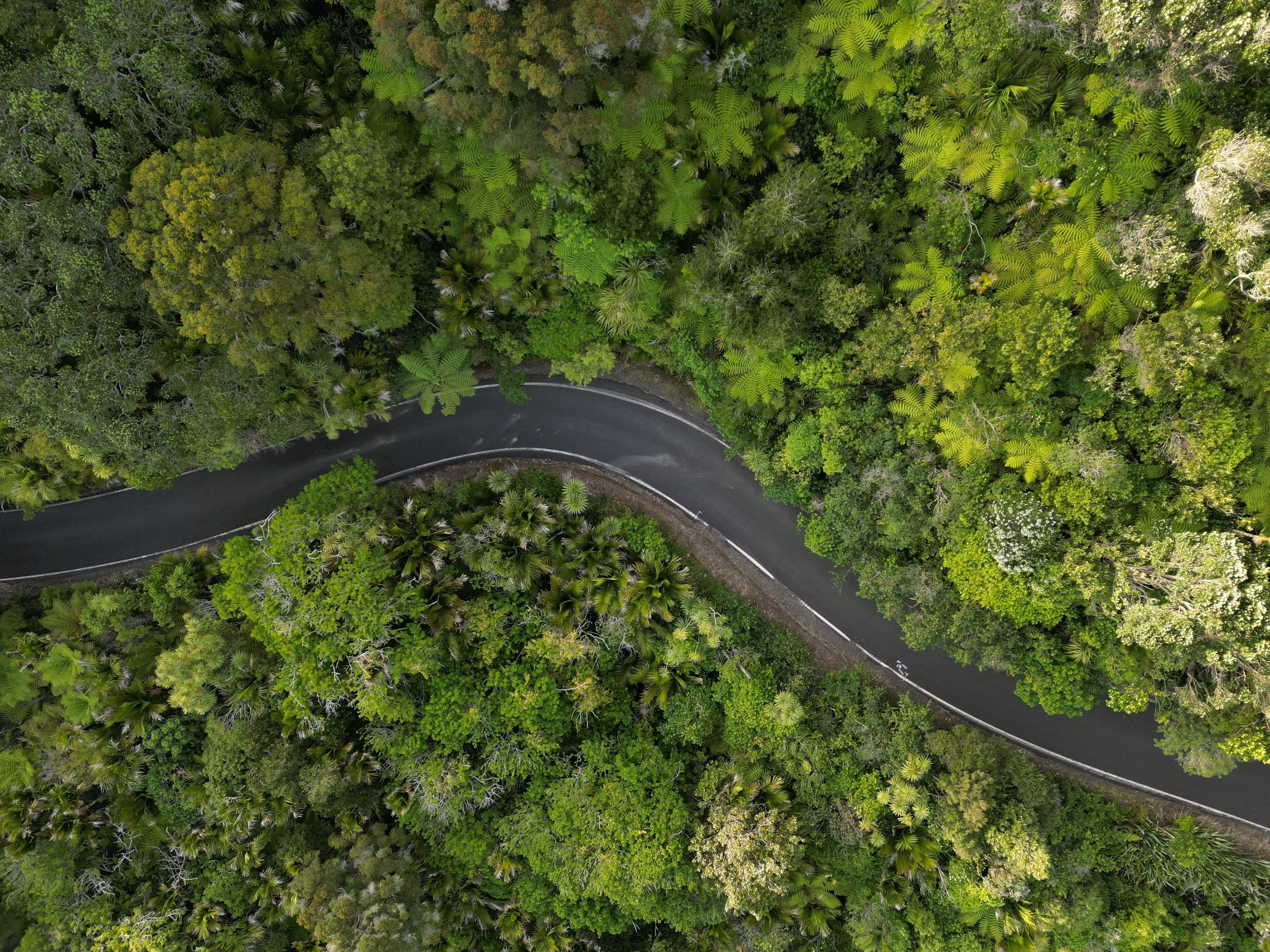 DJI_0243.JPG