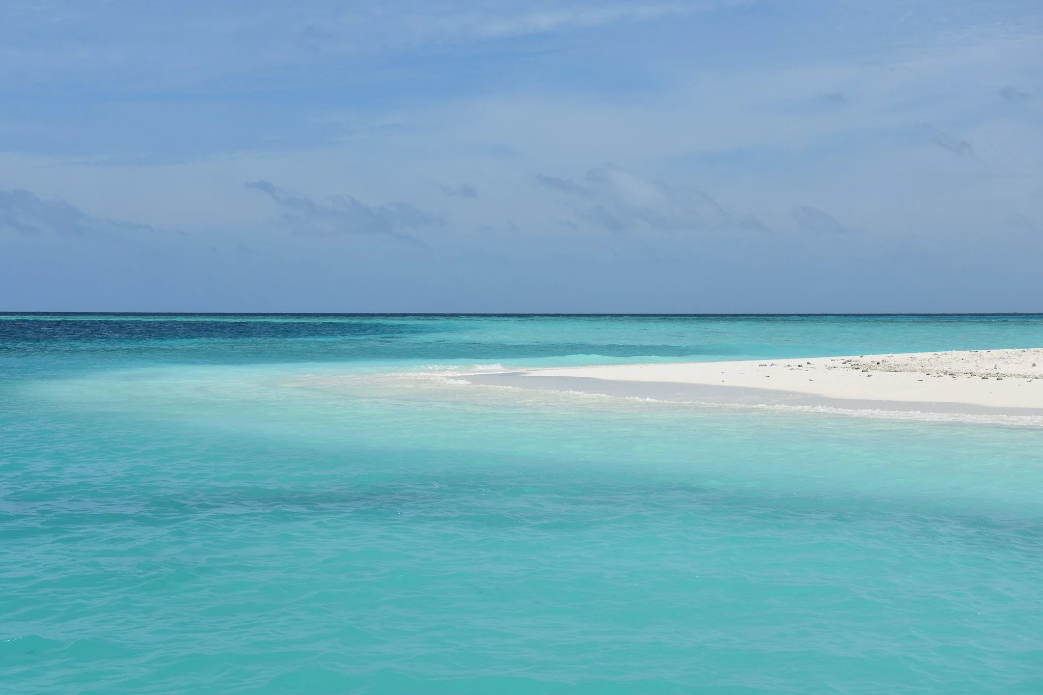 DSC_0574.jpg