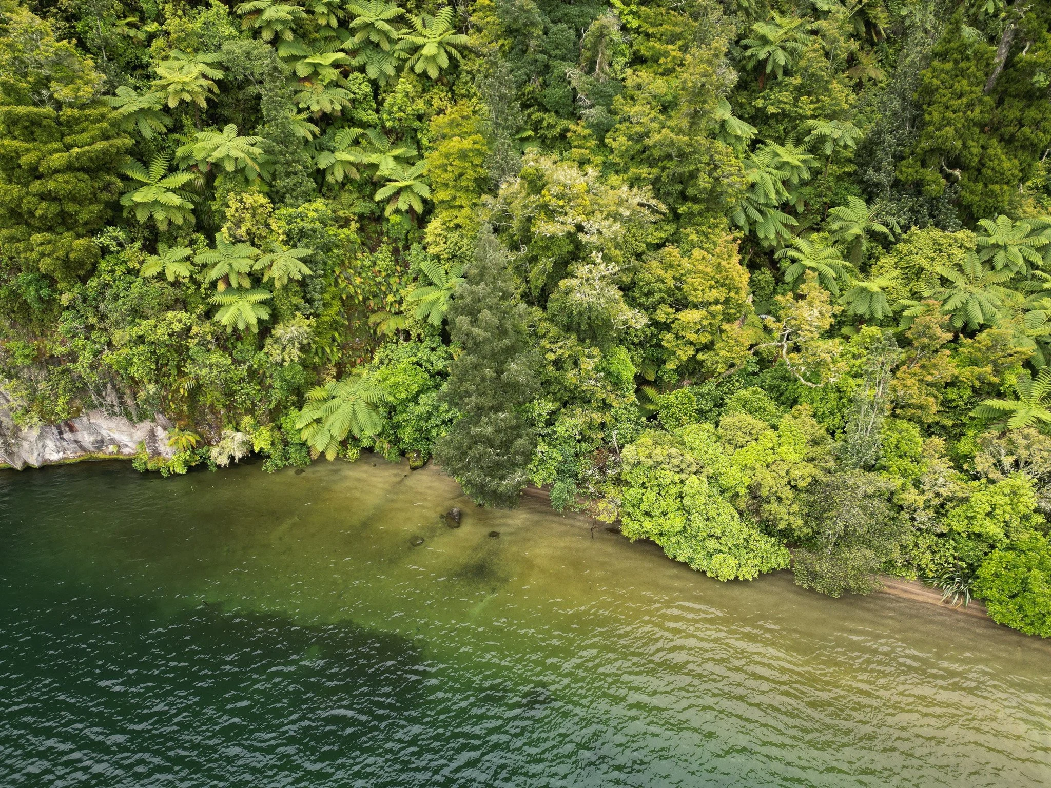 DJI_0223.jpg