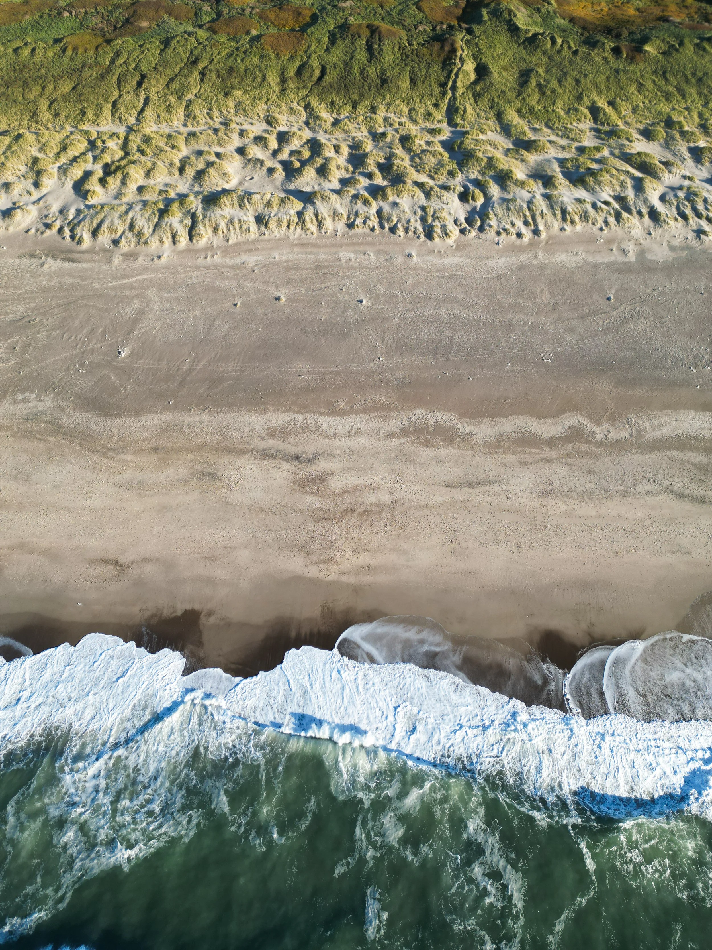 dji_fly_20251013_014952_771_1760288534821_photo.jpg