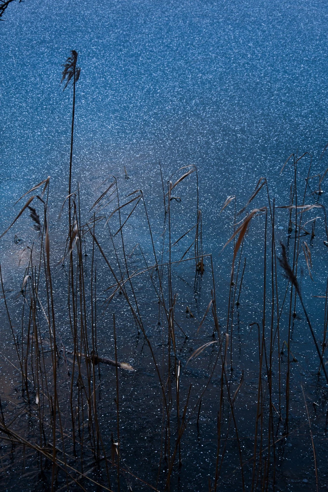 Lake full of stars