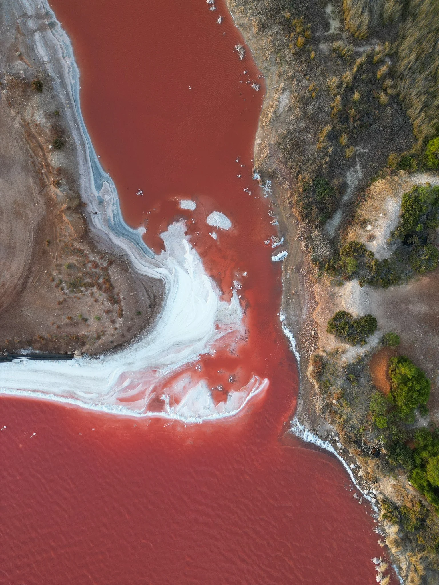 DJI_0464.jpg