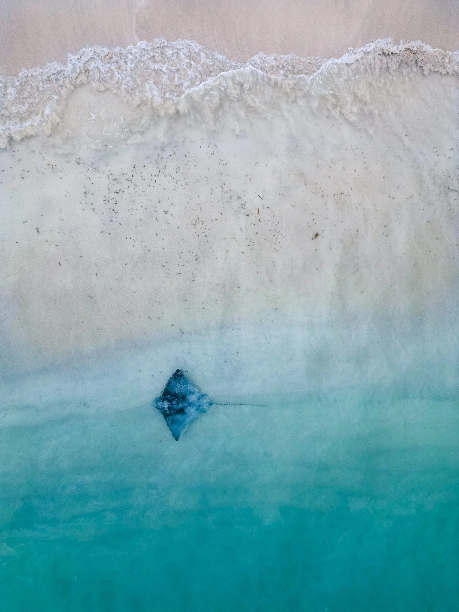 DJI_0073.jpg