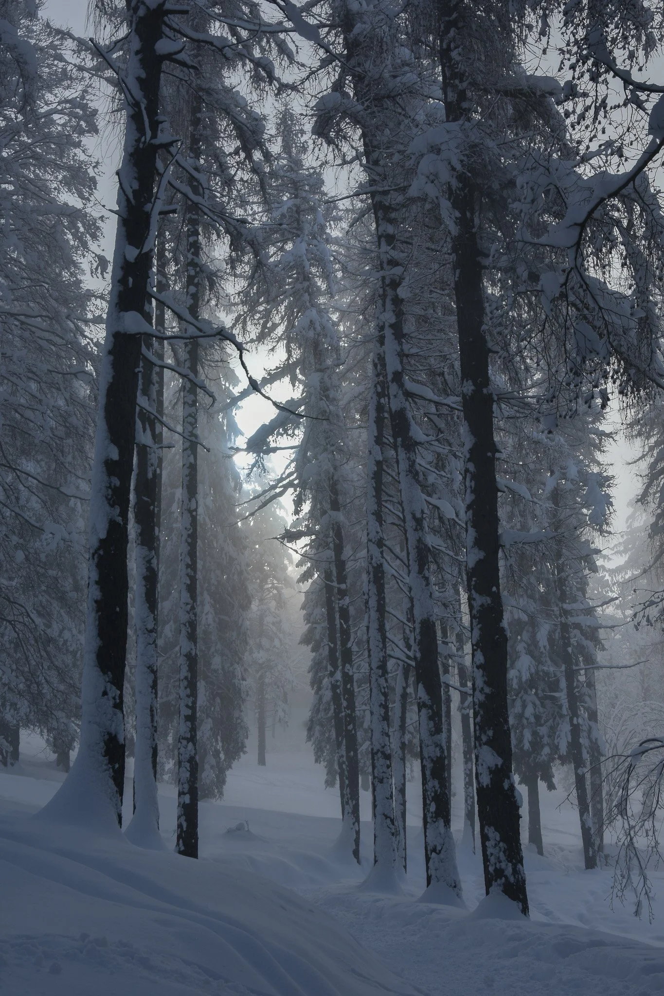 DSC_1096.jpg