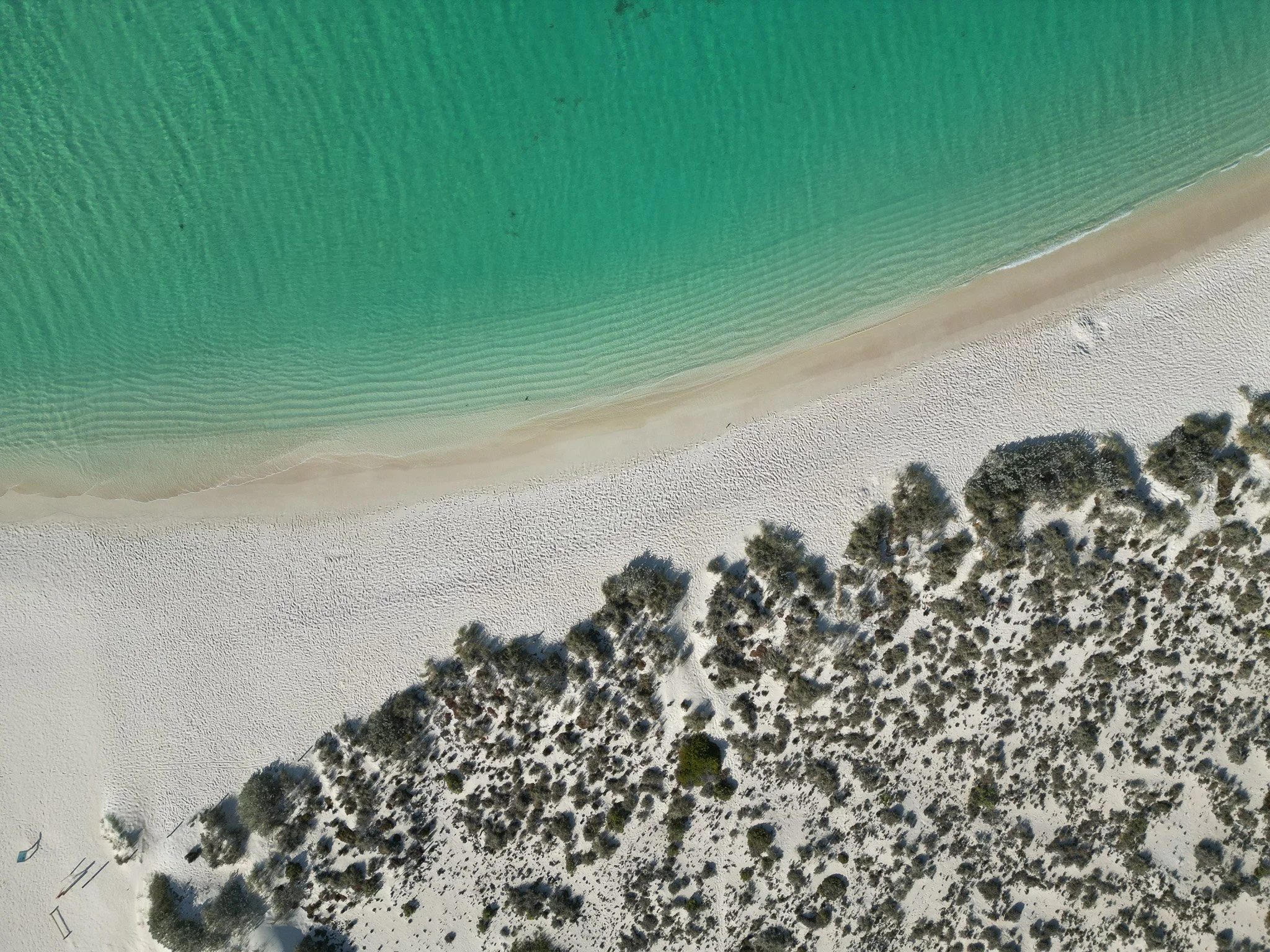 DJI_0881.jpg