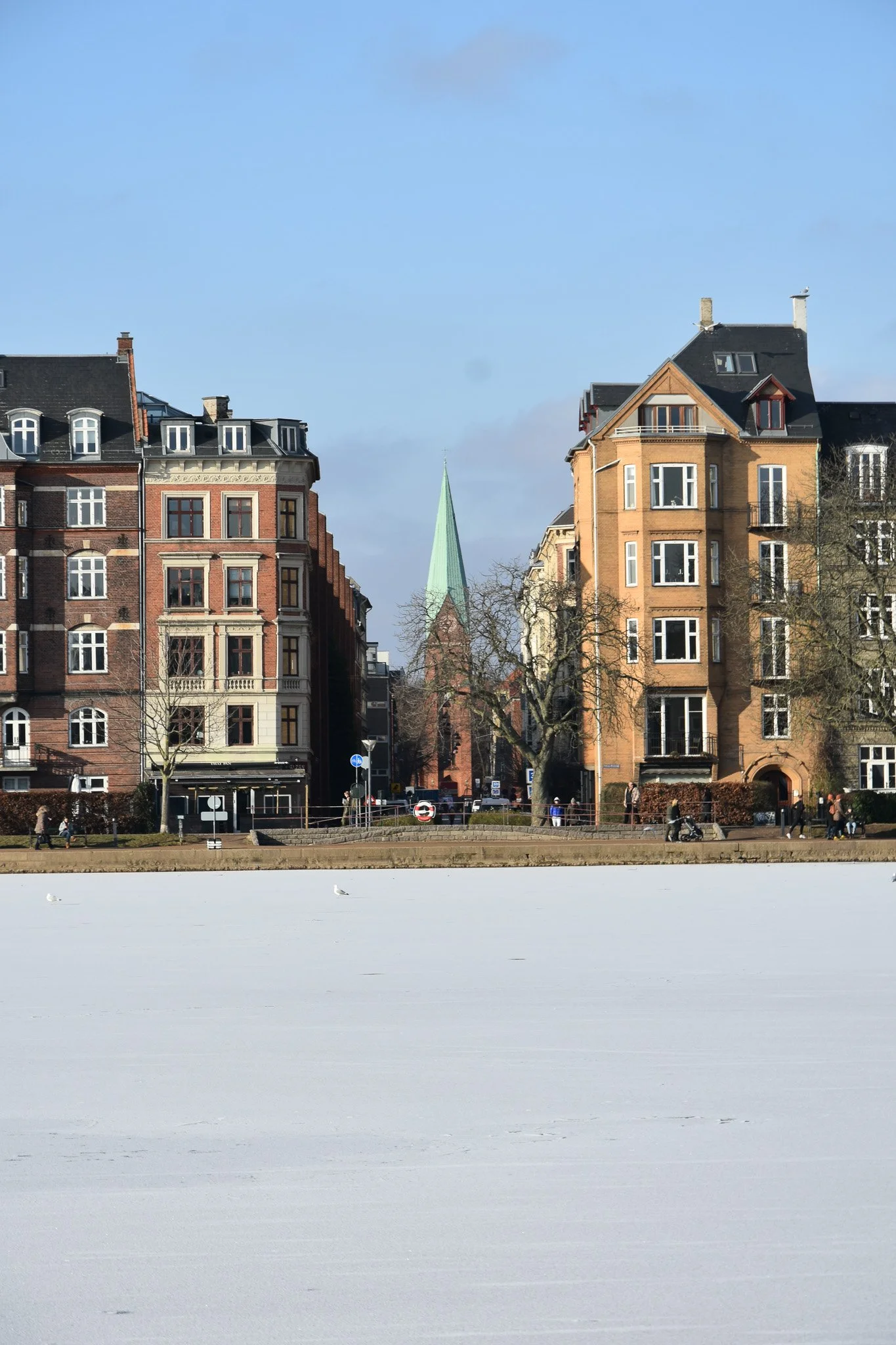 DSC_1185.jpg