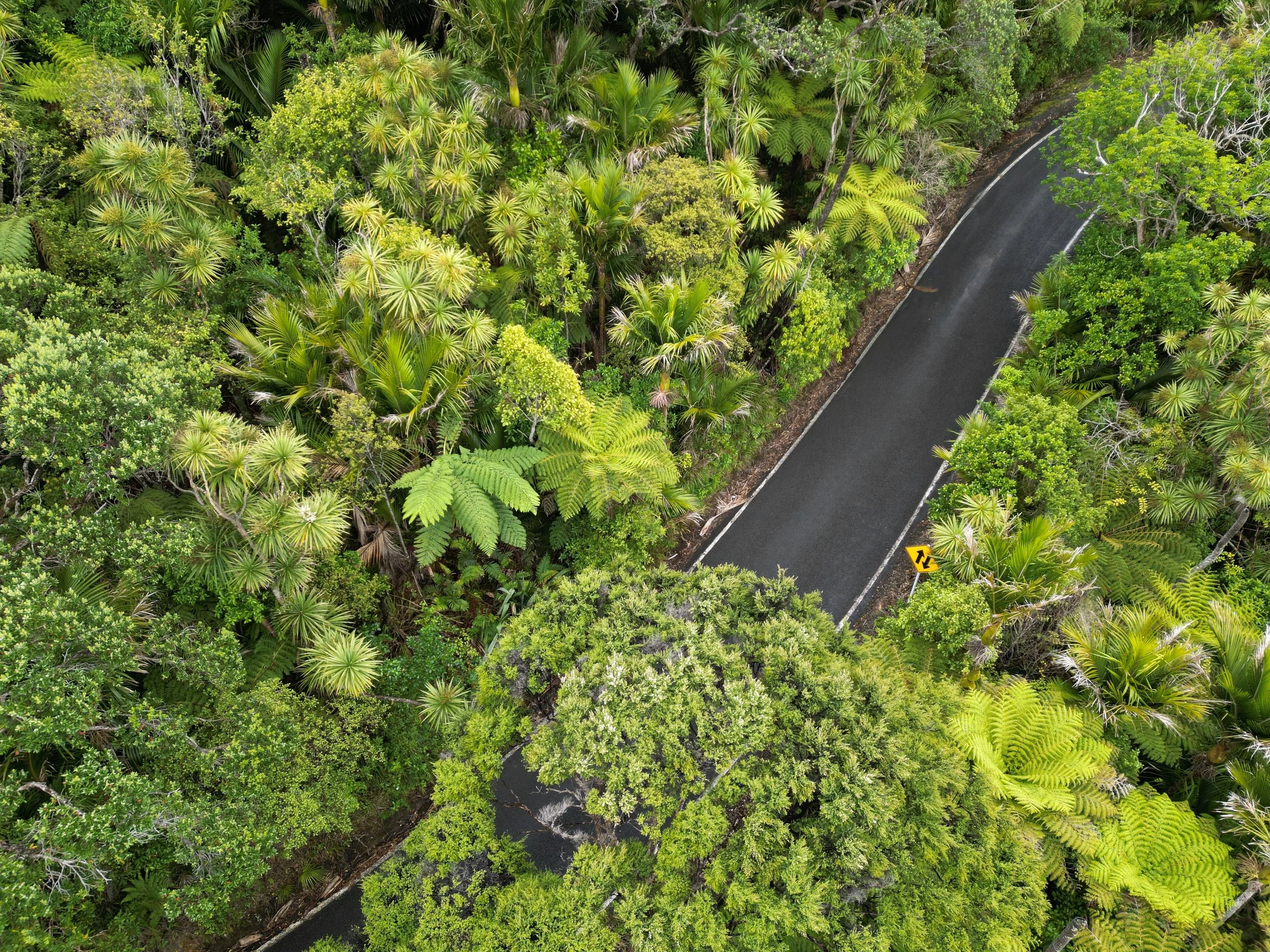 DJI_0200.JPG