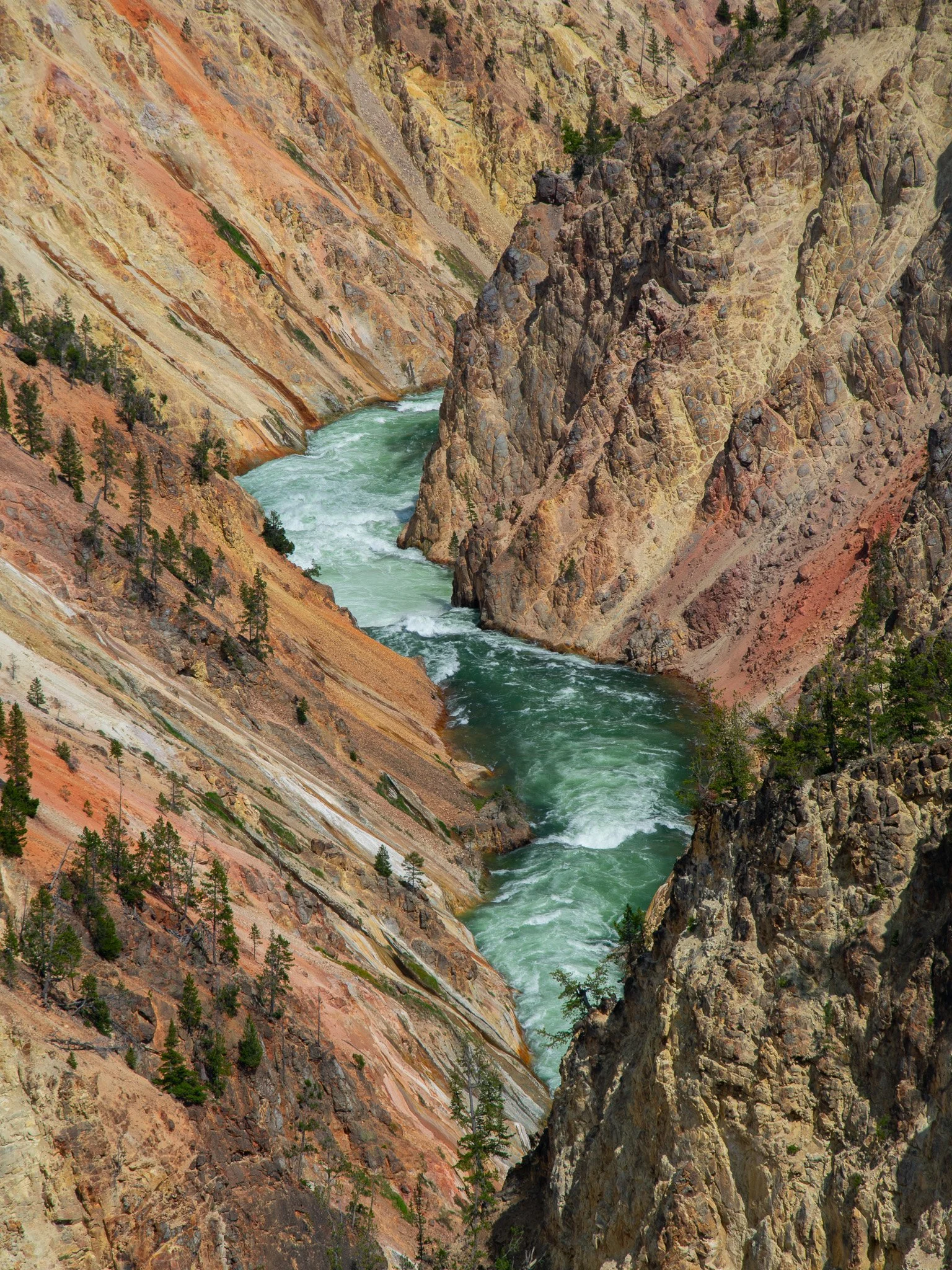 DSC_1870.jpg