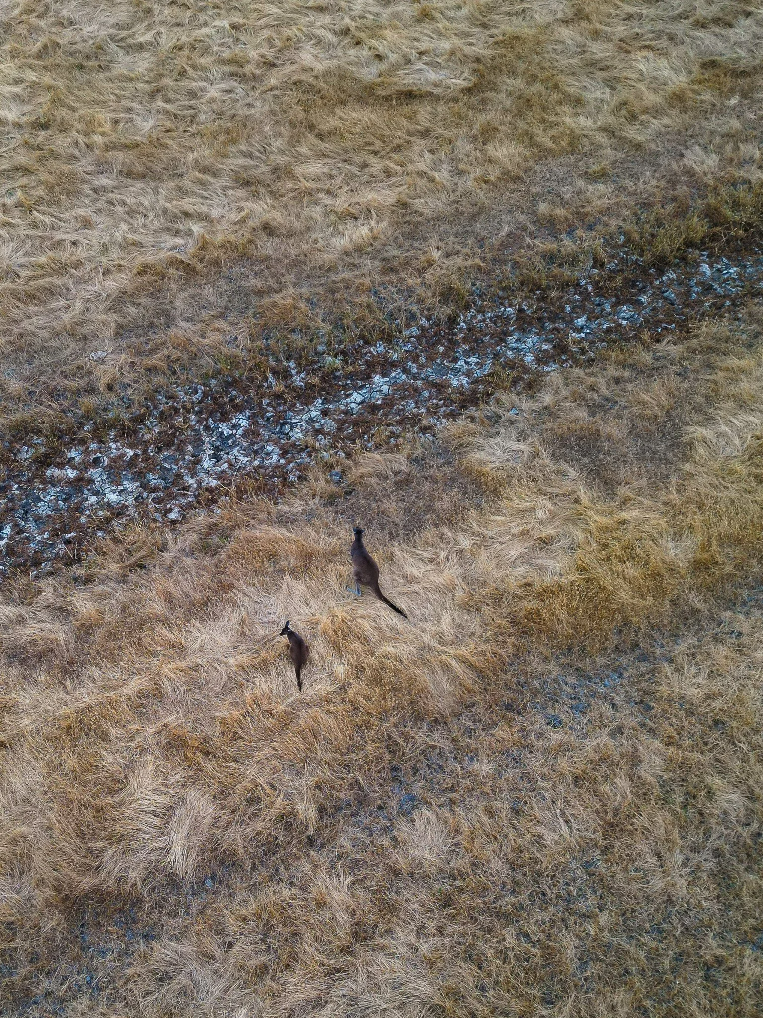 dji_fly_20230103_202836_23_1672818366534_photo.jpg