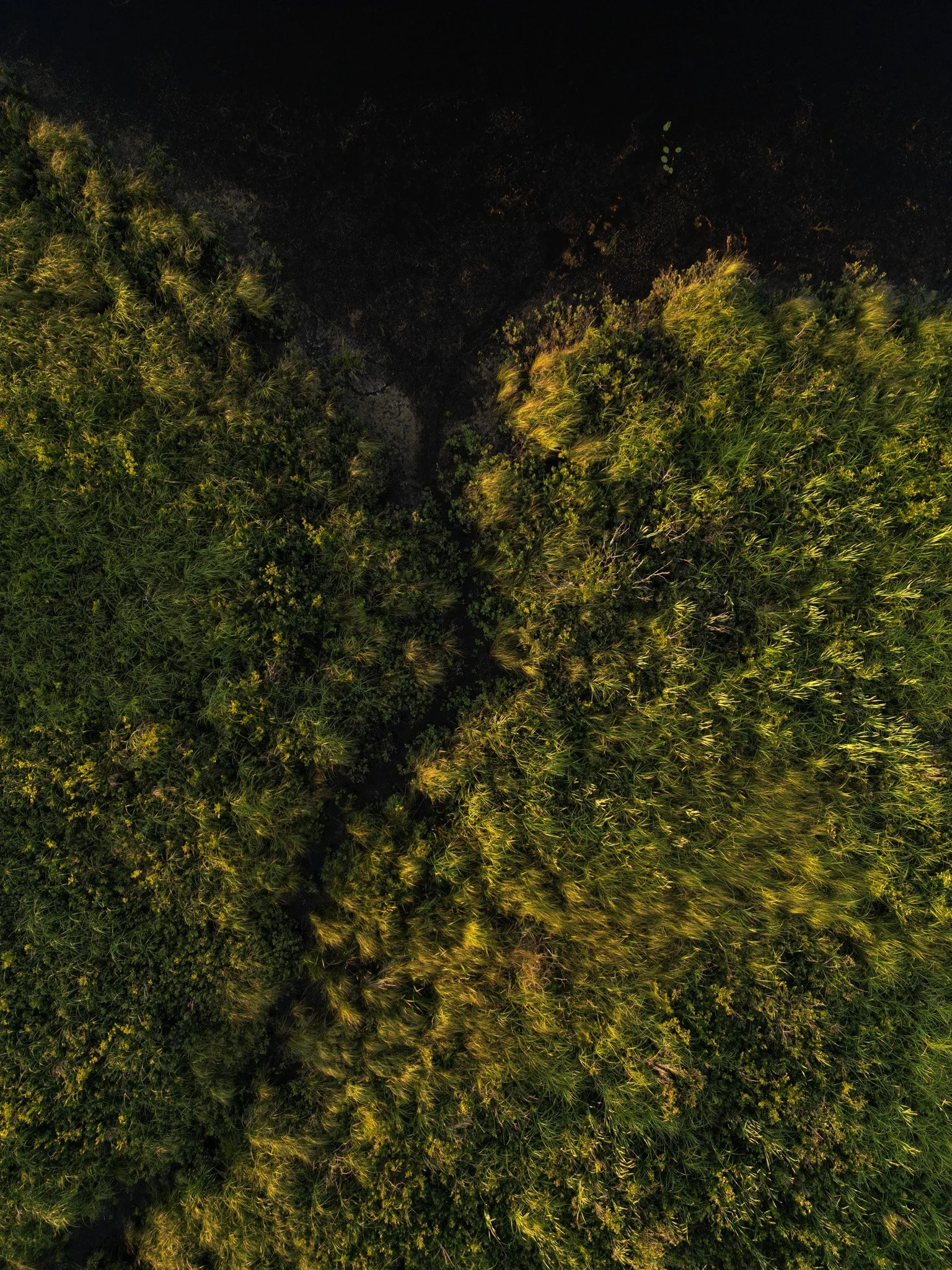 DJI_0818.jpg