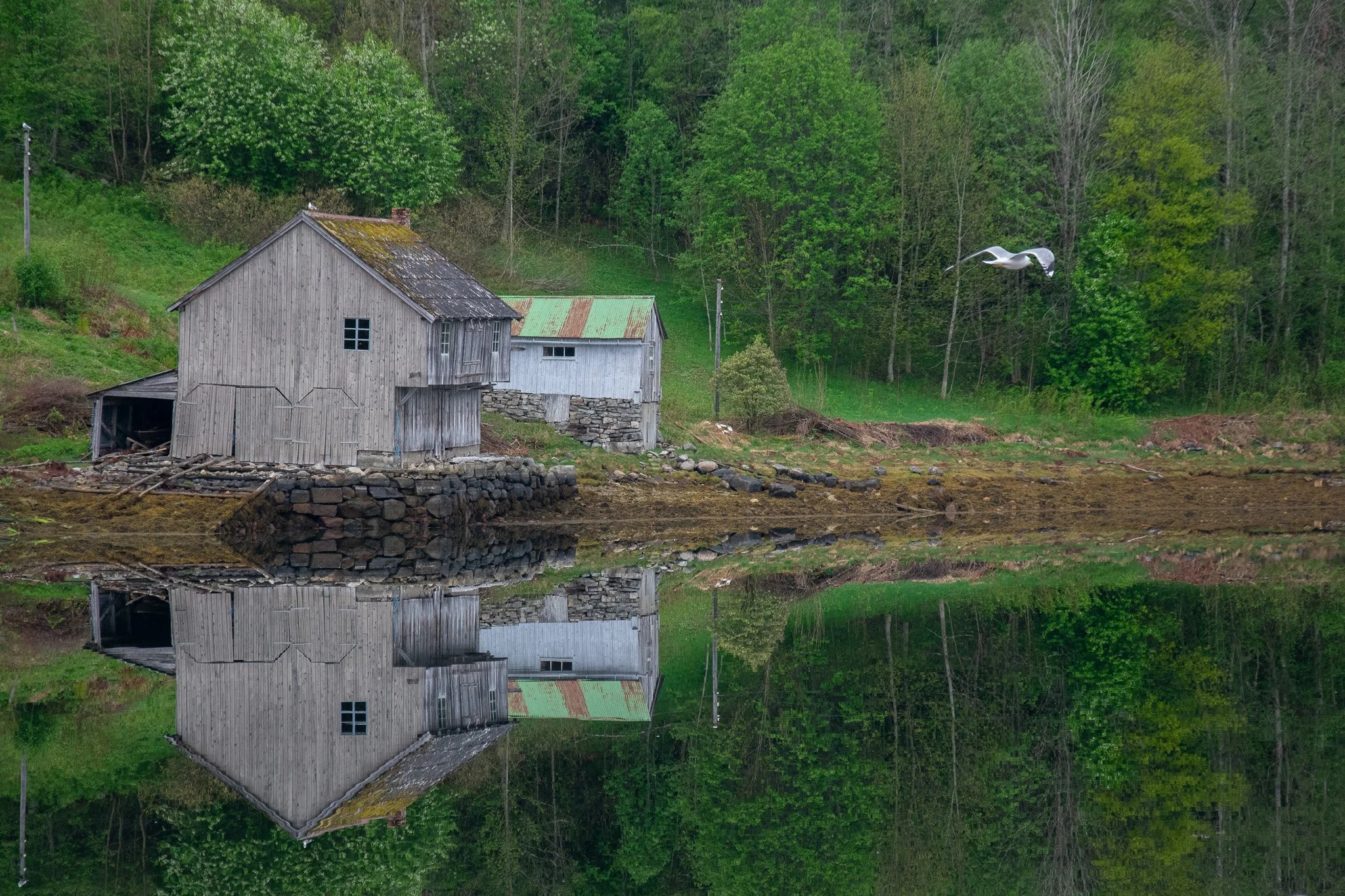 Mirroring reality