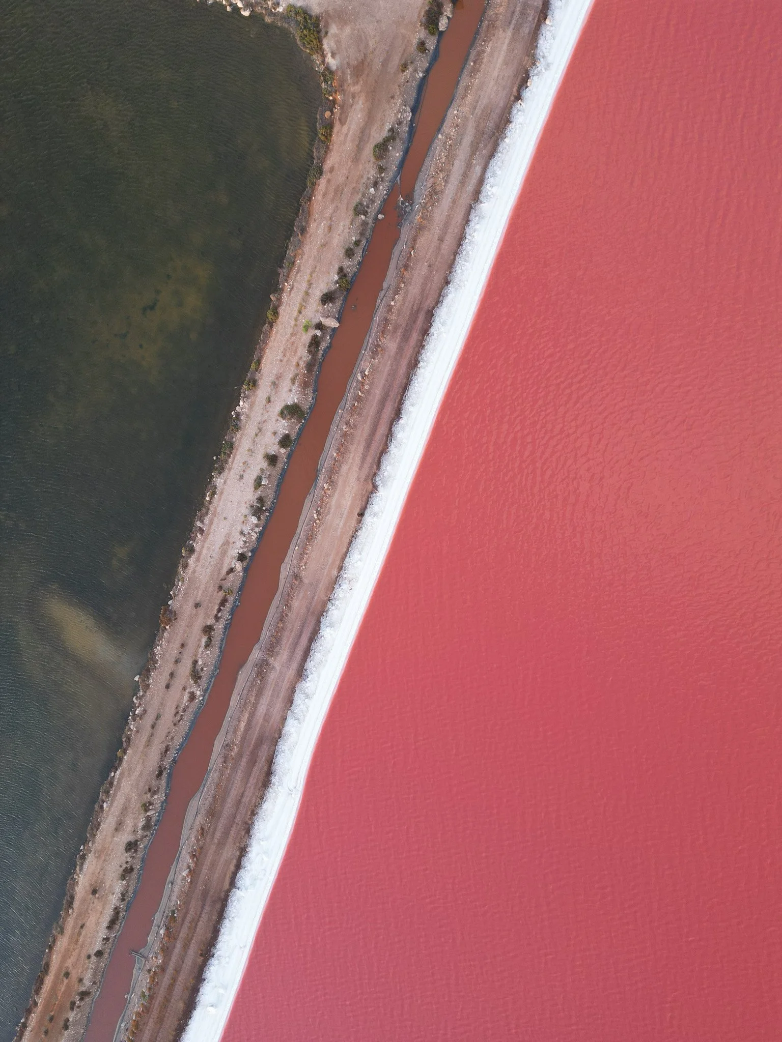 DJI_0460.jpg