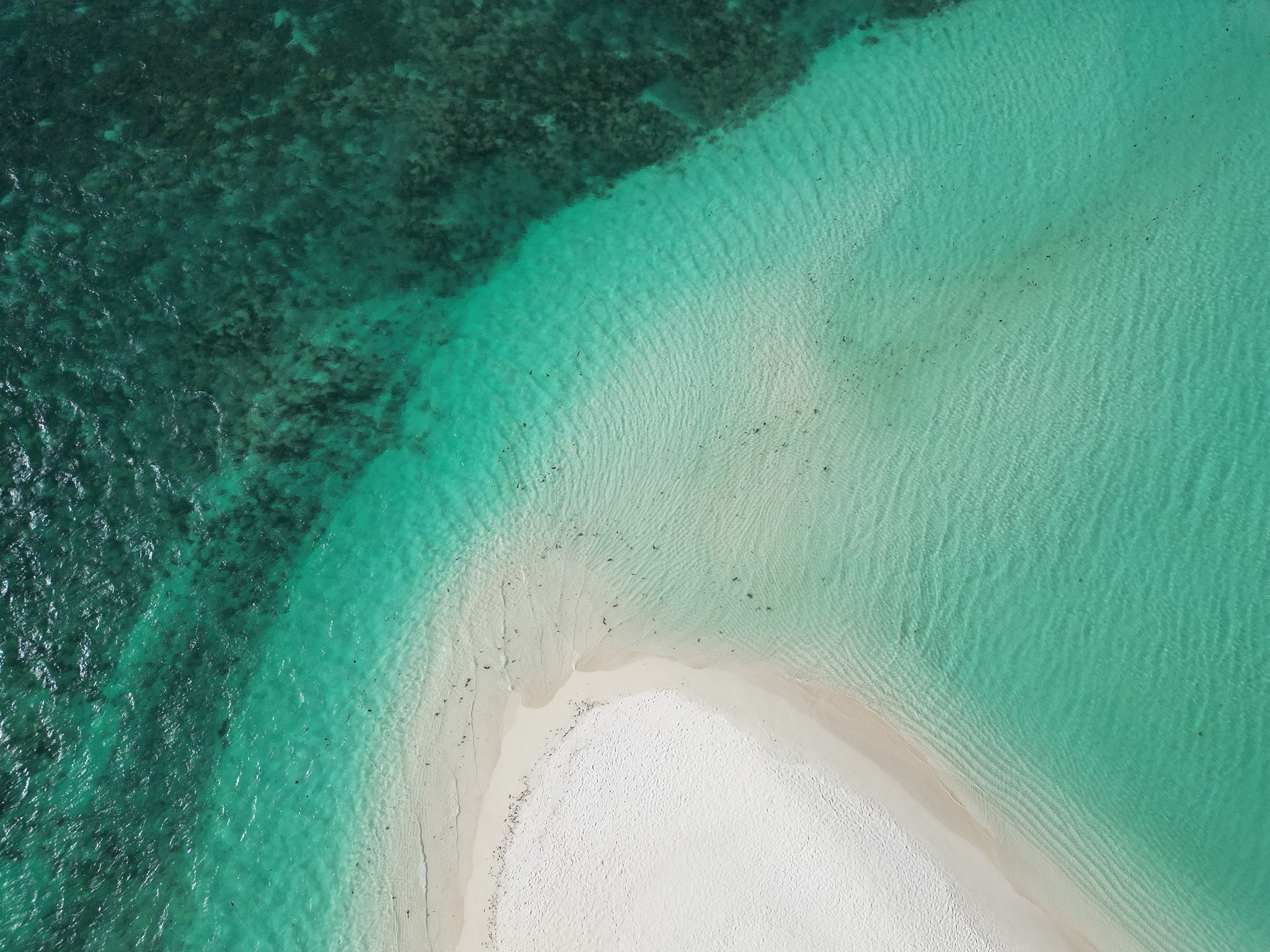 DJI_0879.jpg