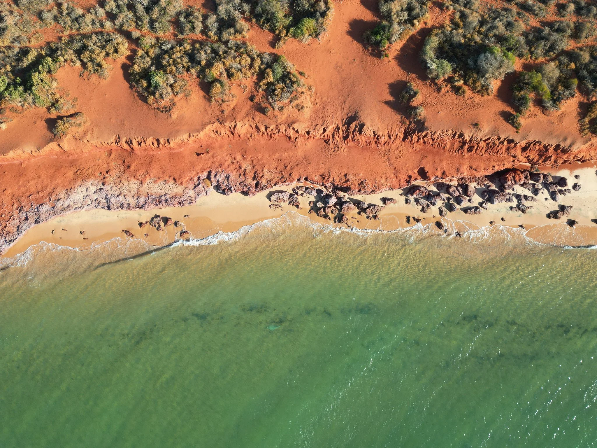 DJI_0655.jpg