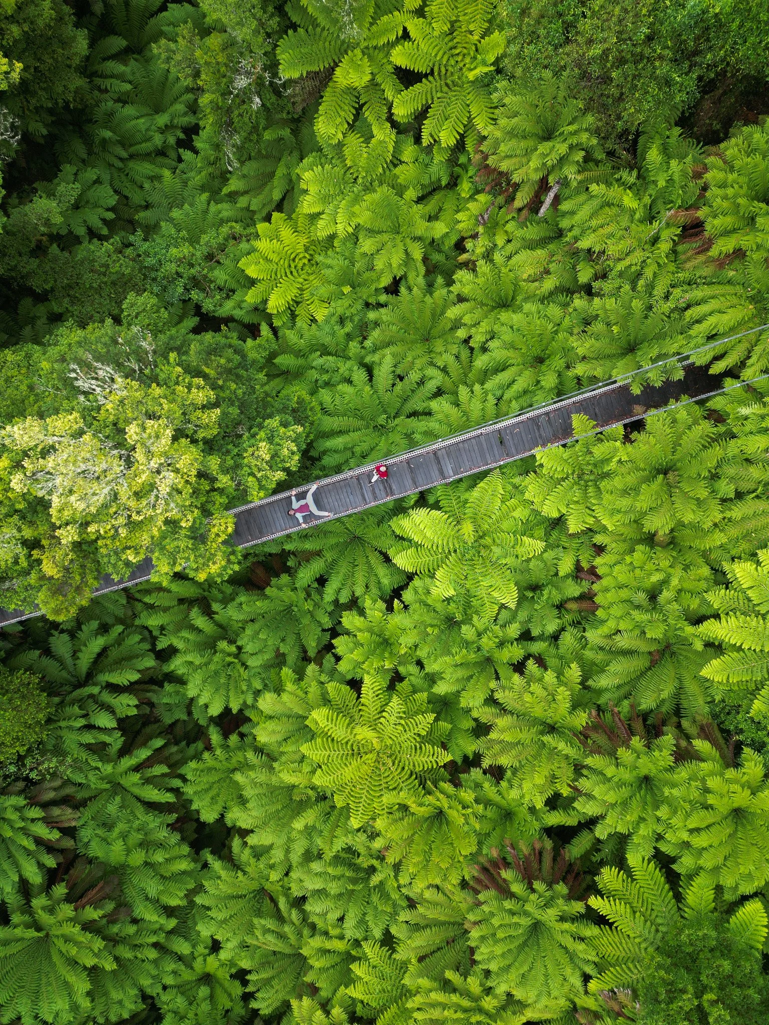dji_fly_20230204_170458_312_1675604116667_photo.jpg