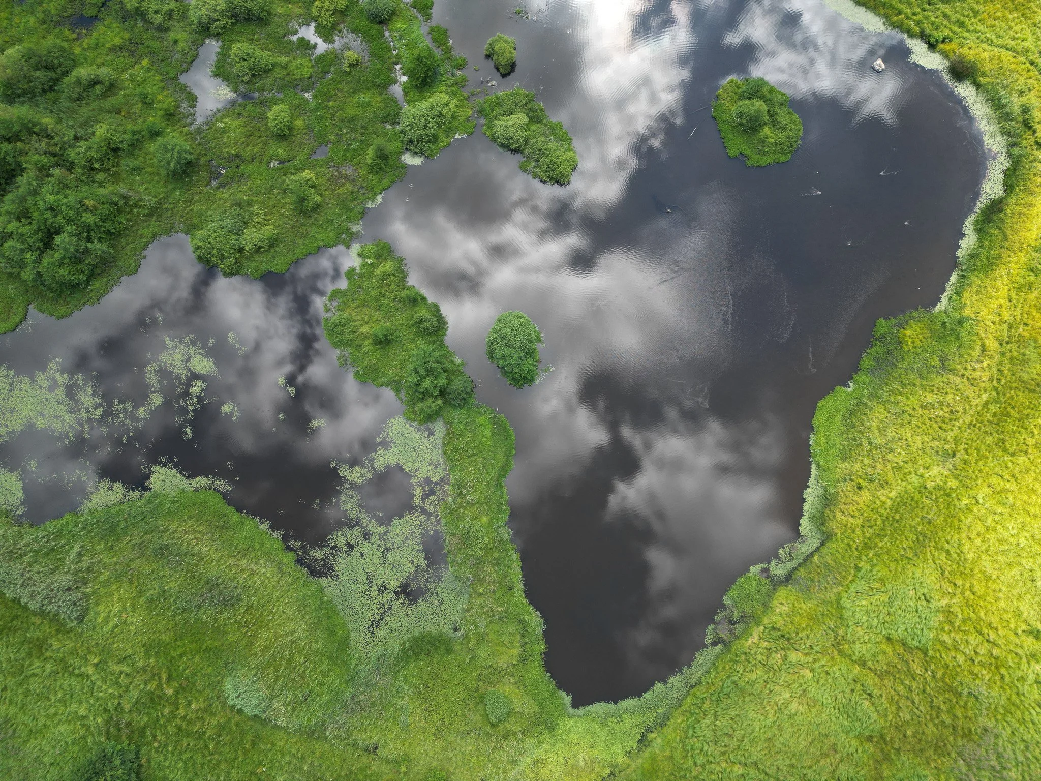 DJI_0269.jpg