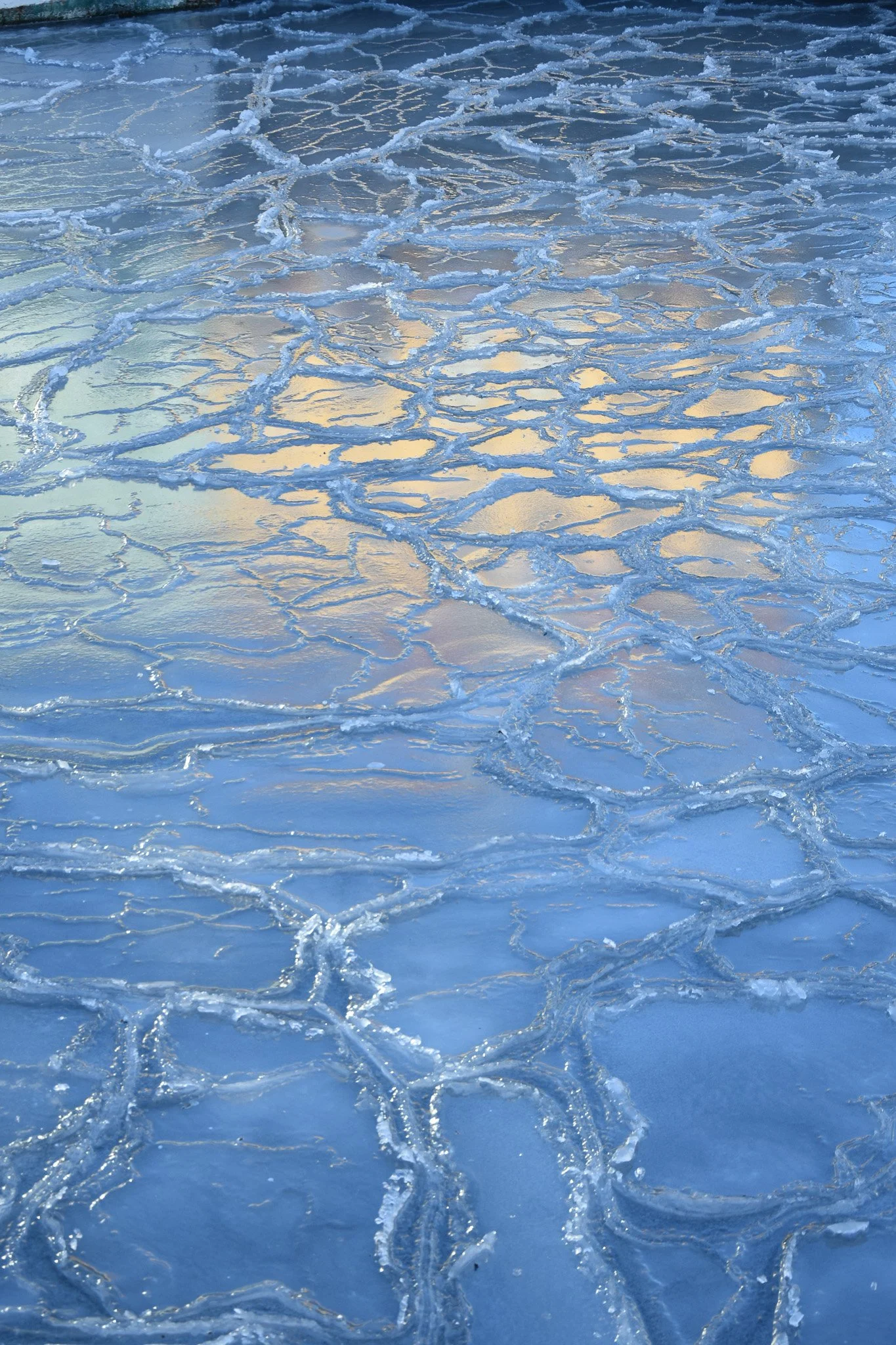 Frozen Nyhavn