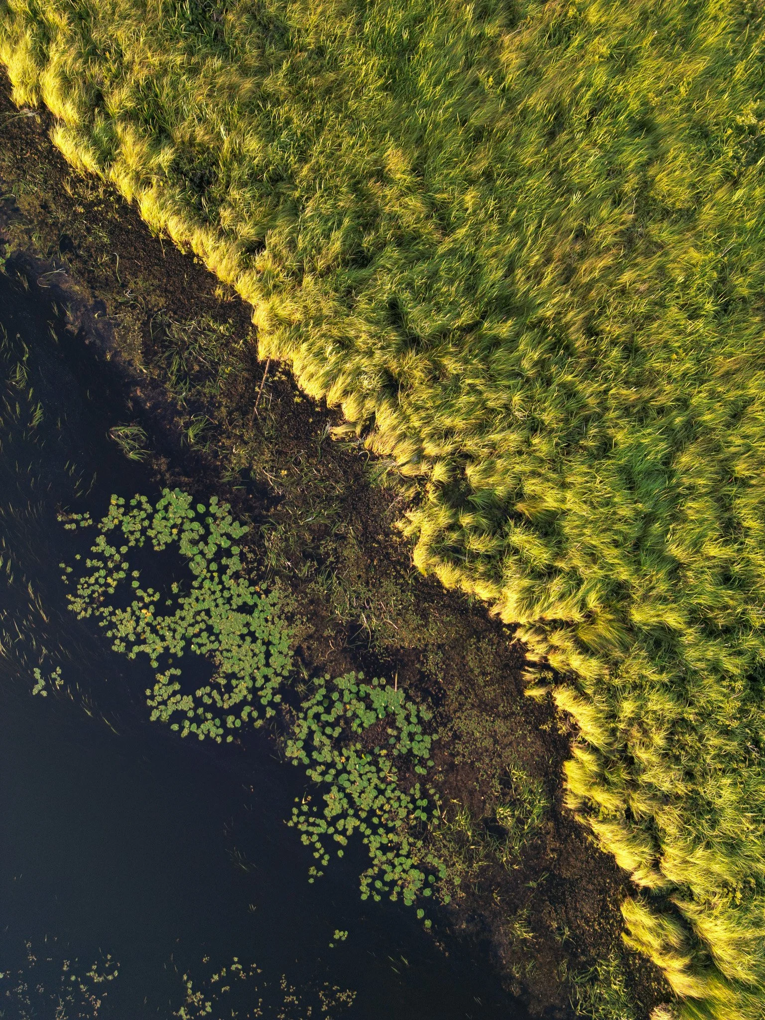DJI_0817.jpg