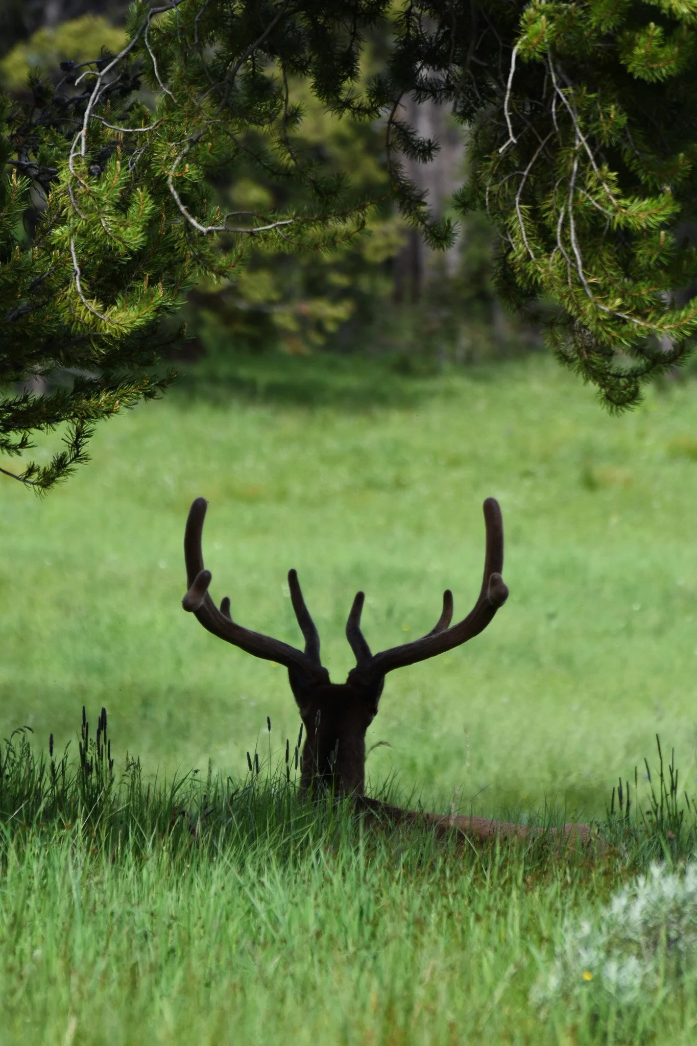 DSC_1937.jpg