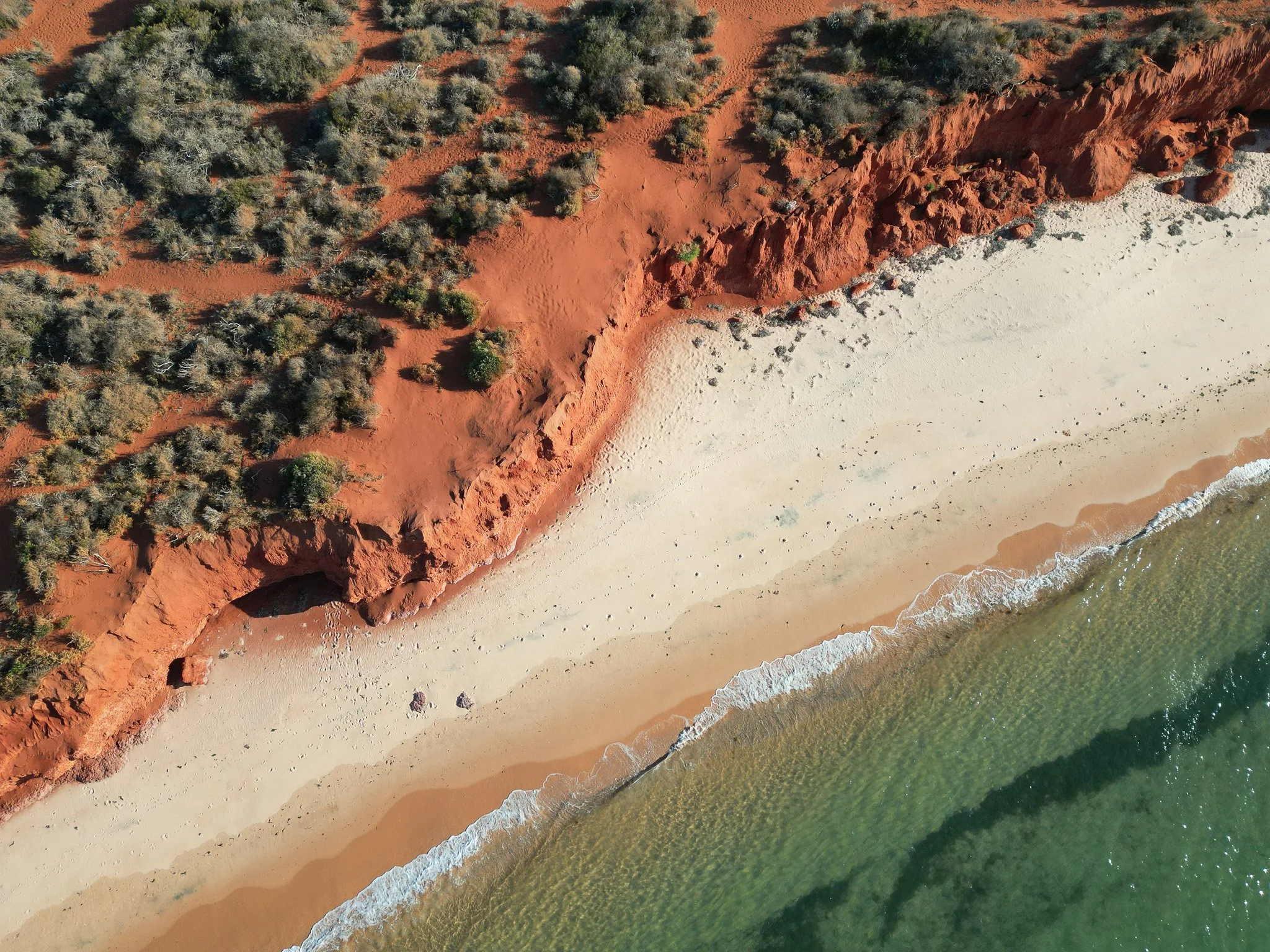 DJI_0654.jpg