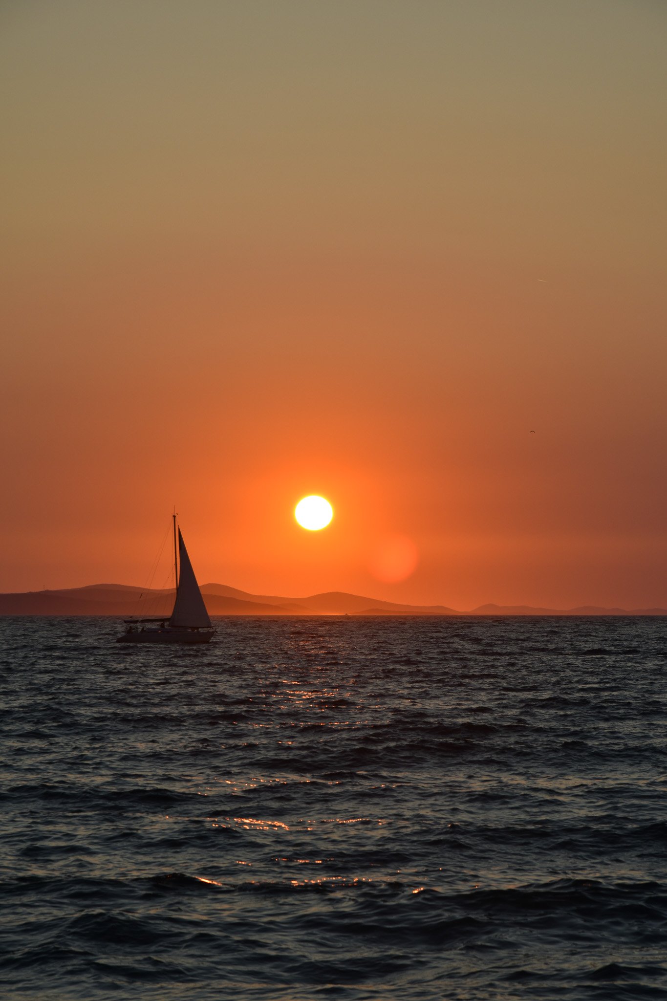 DSC_0140.jpg