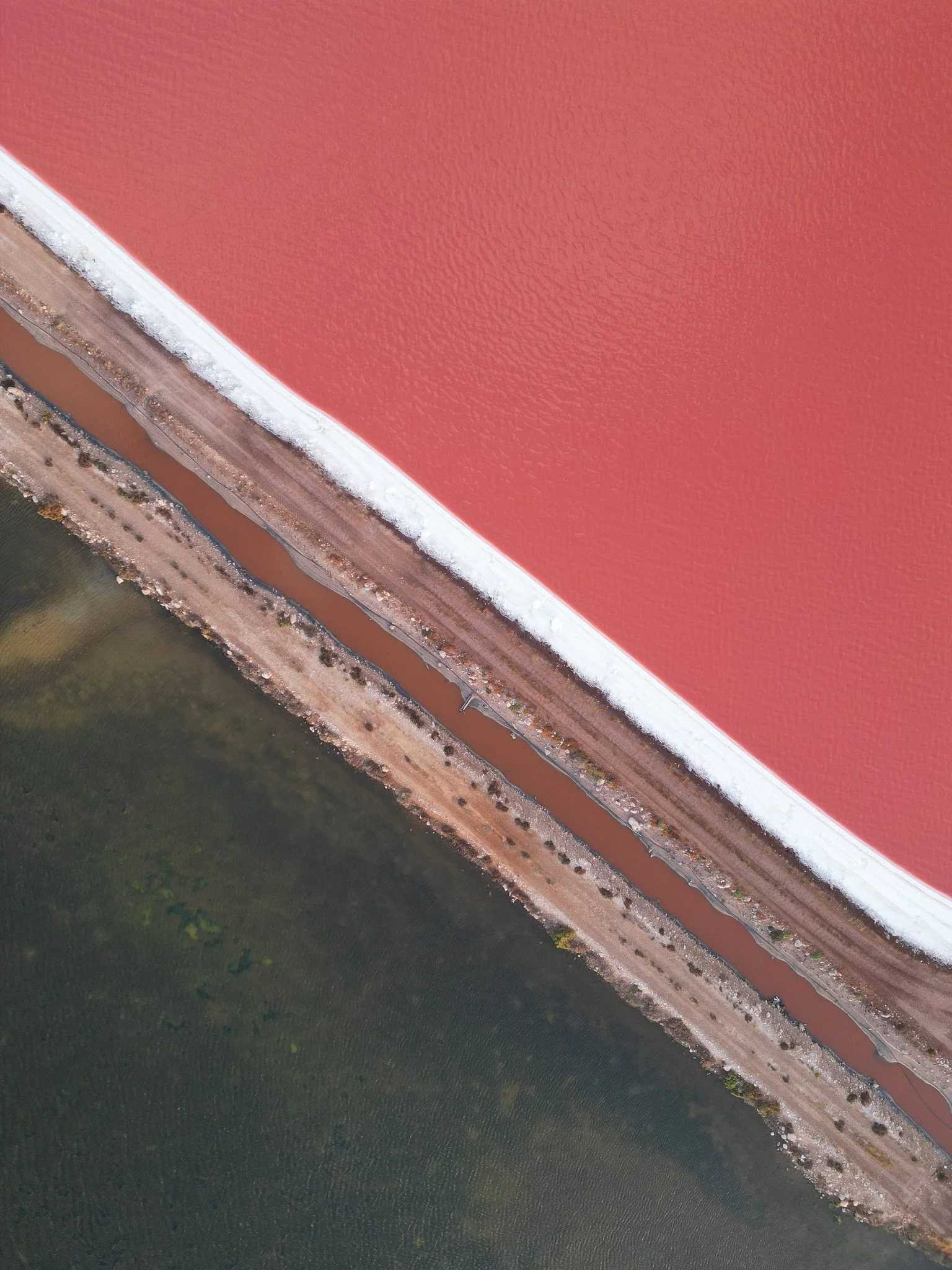 DJI_0459.jpg