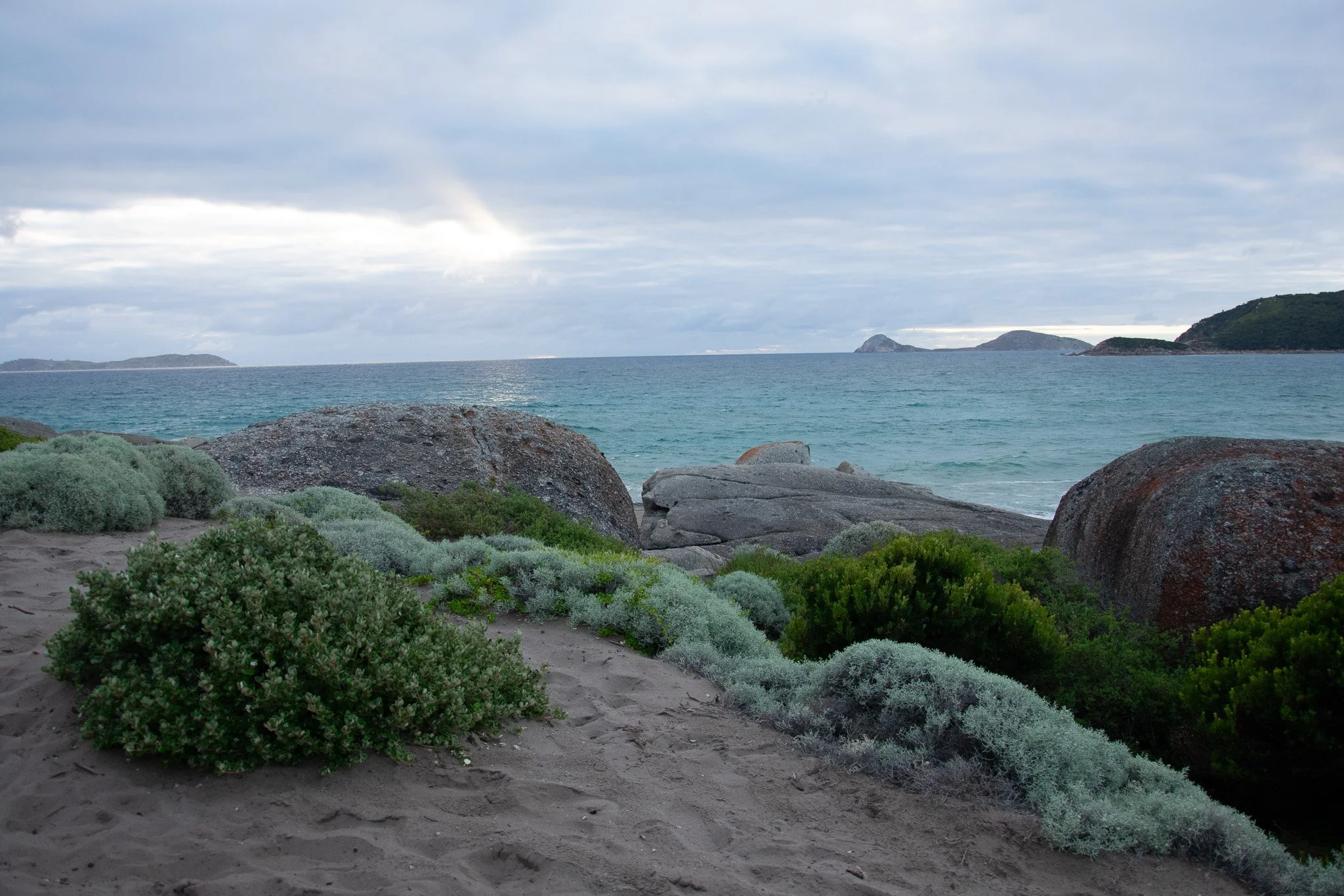 DSC_1834.jpg