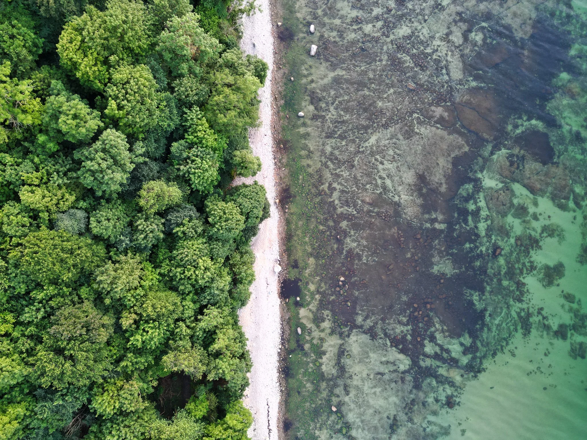 DJI_0250.jpg
