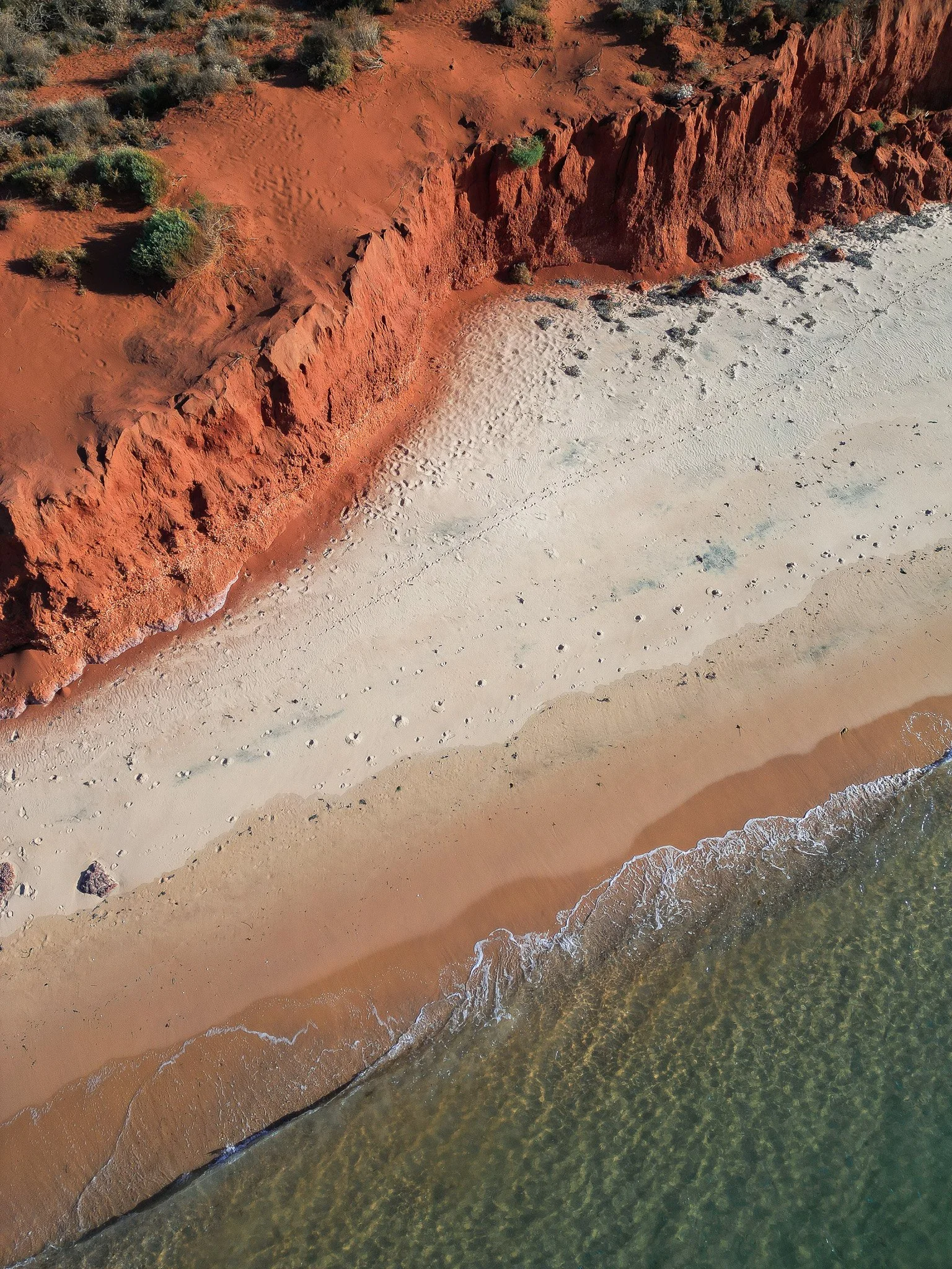 DJI_0653.jpg