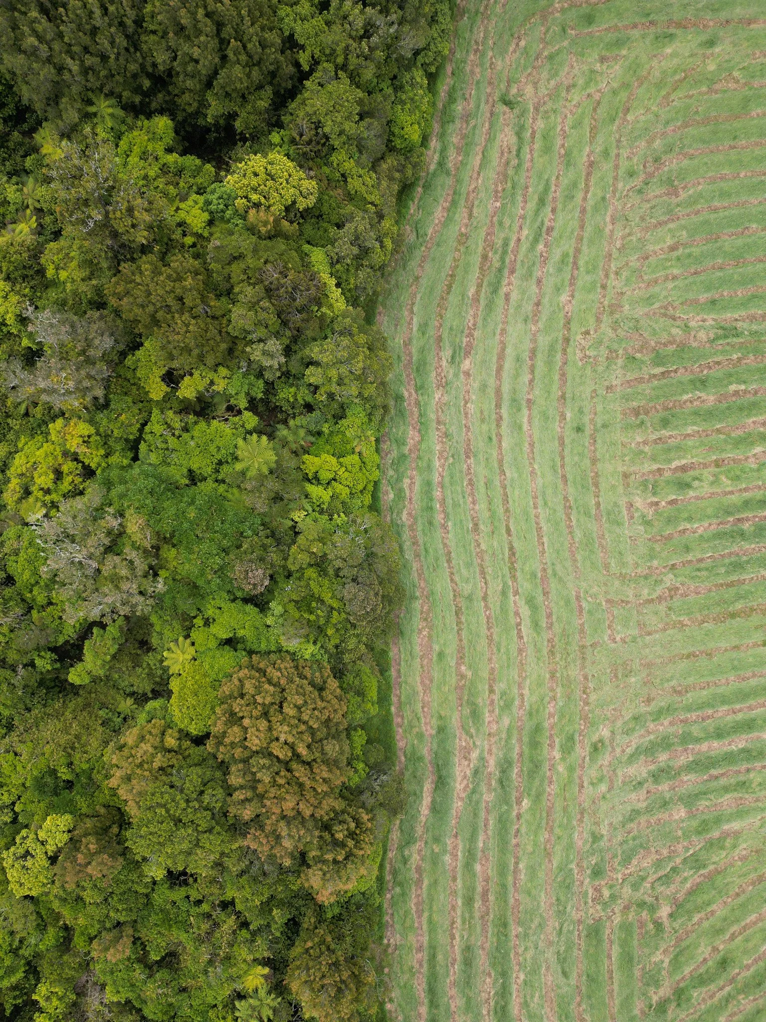 DJI_0364.jpg