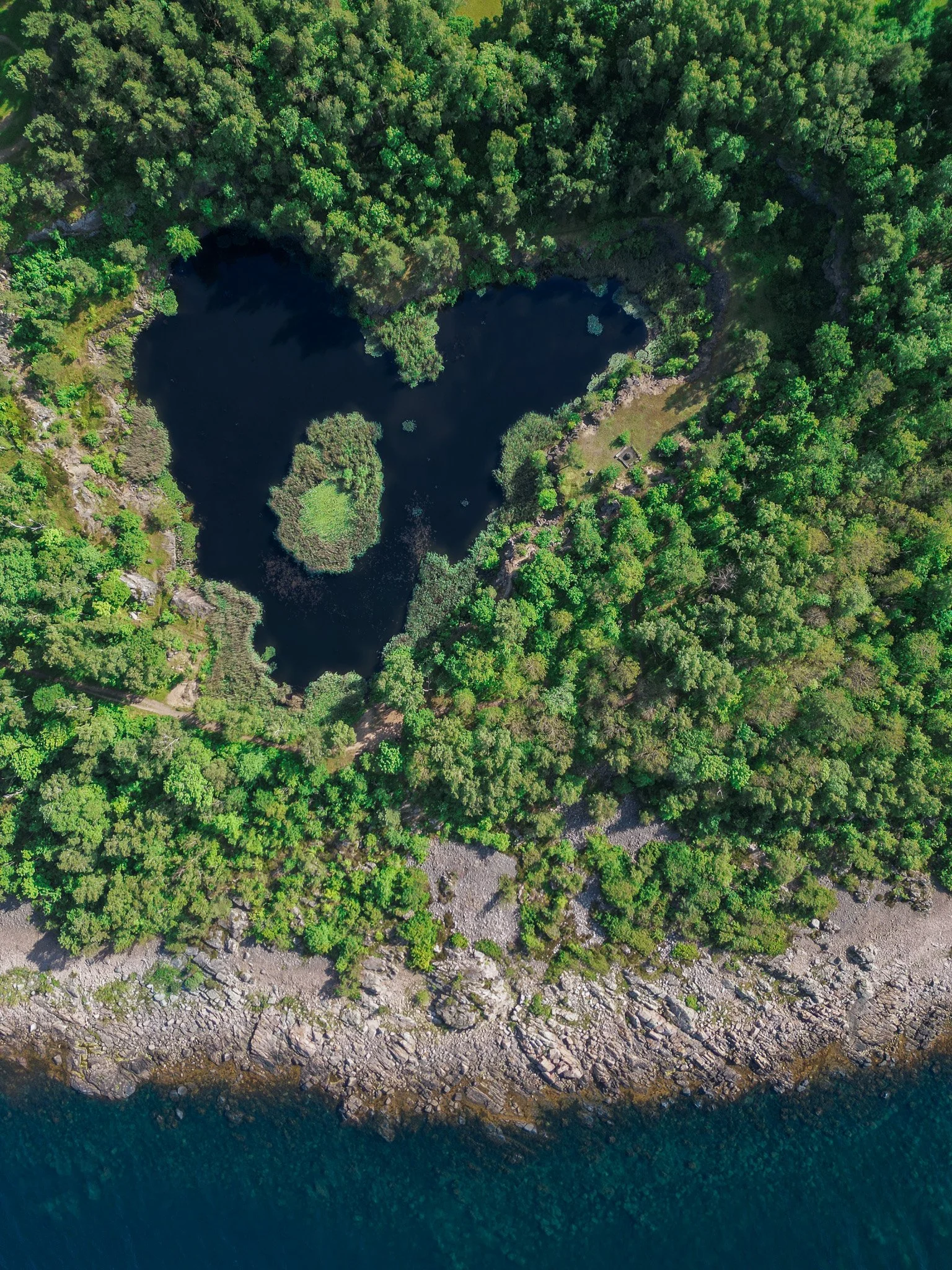 DJI_0505-2.jpg