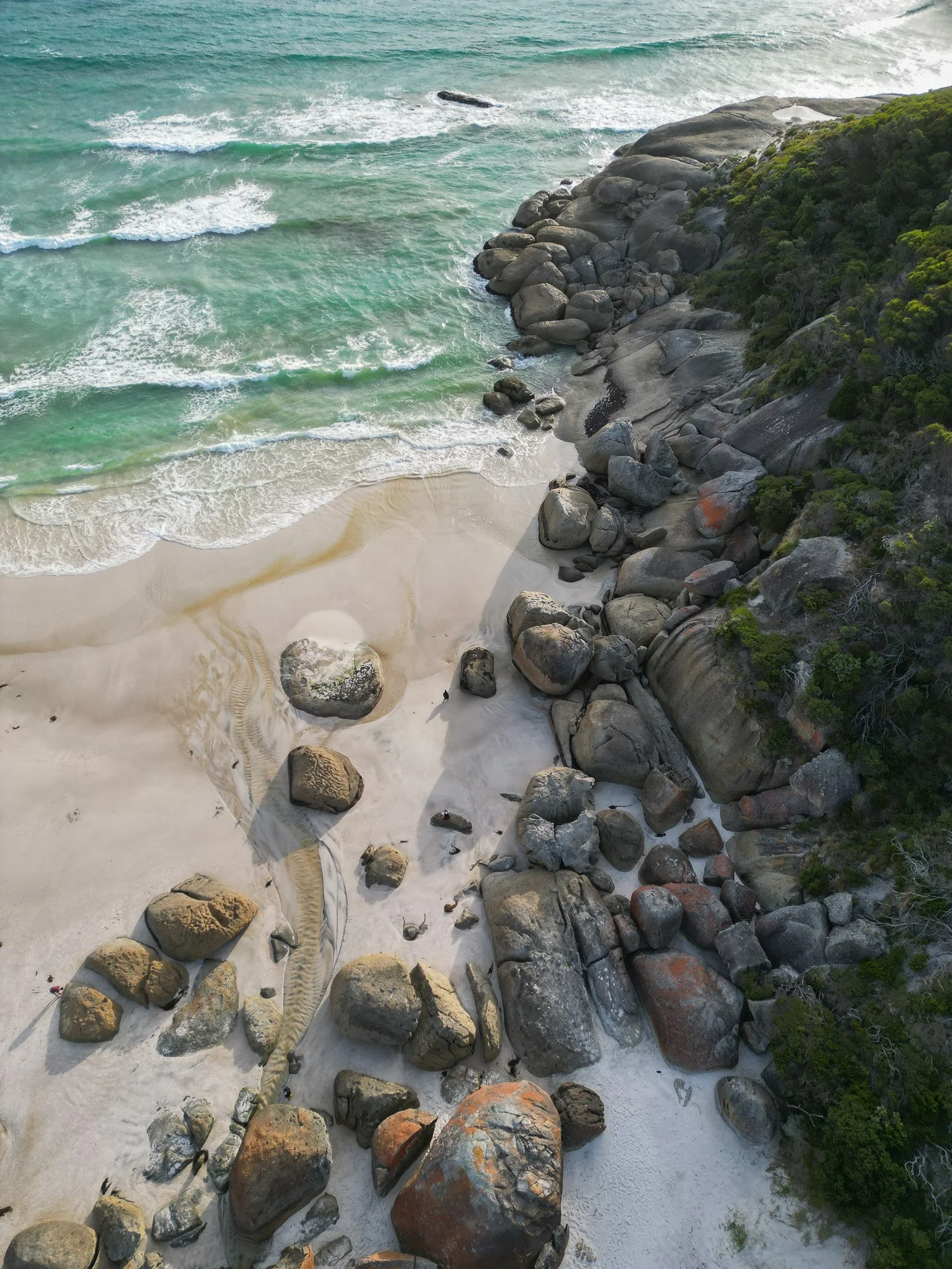 DJI_0351.jpg